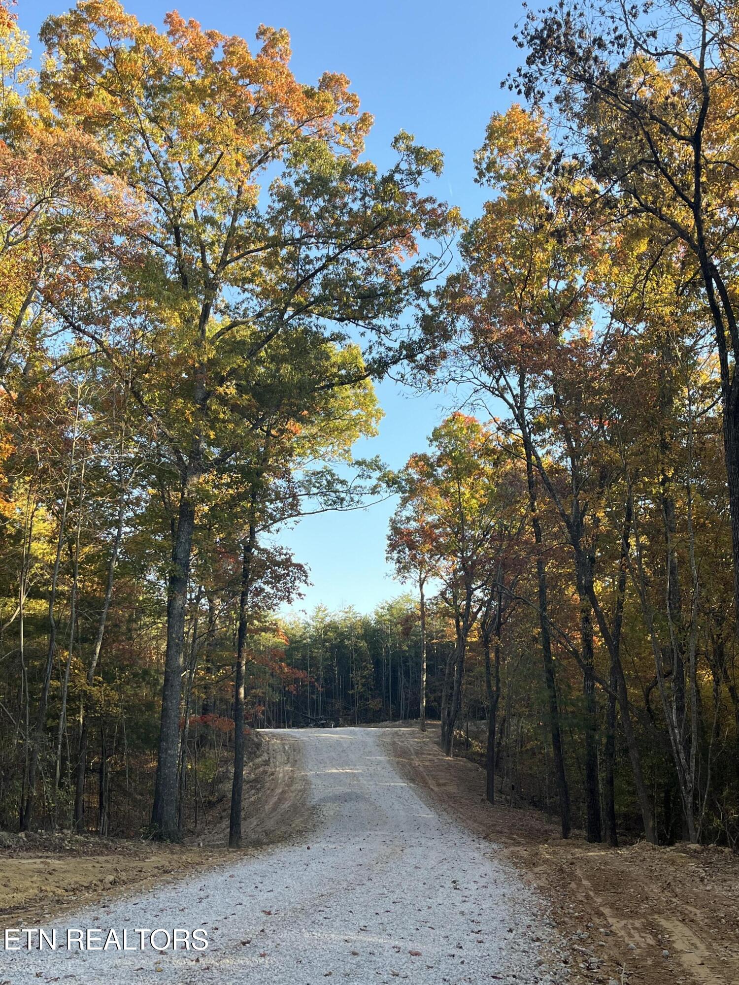 111 Cherokee Path Tellico Plains TN 37385