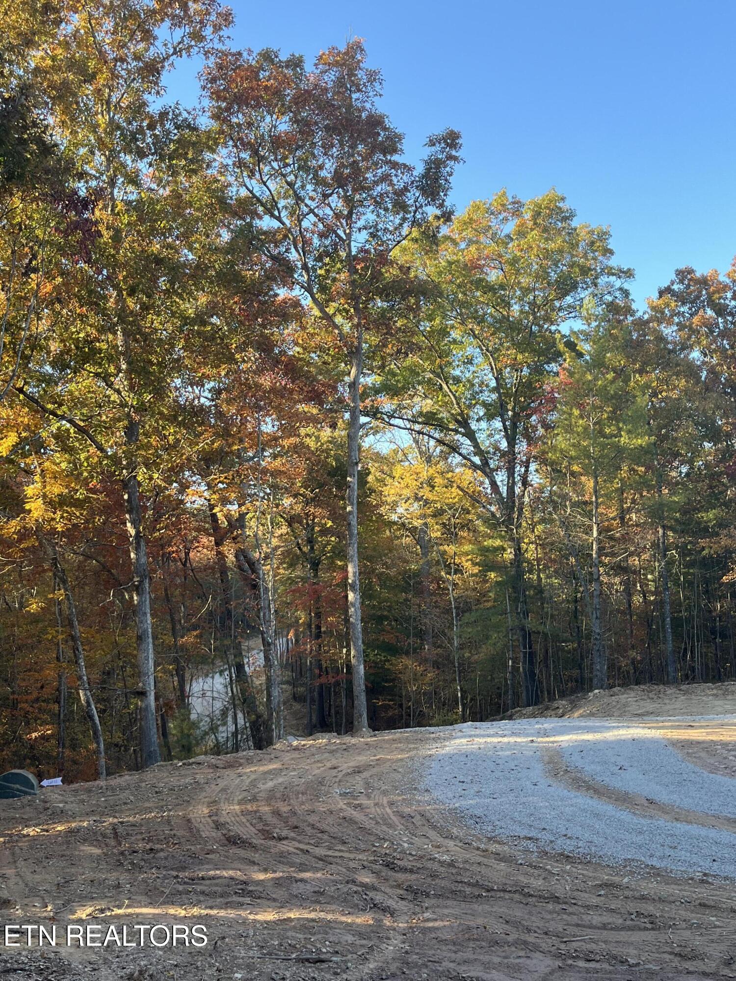 111 Cherokee Path Tellico Plains TN 37385