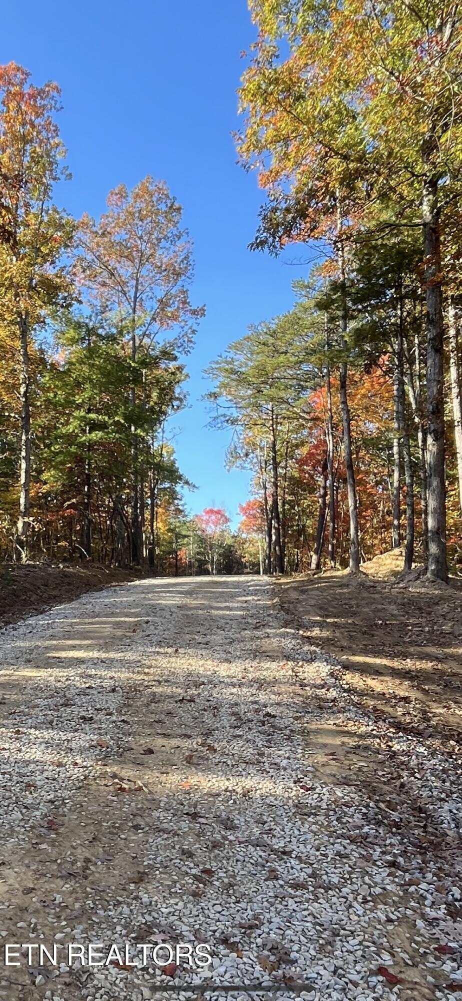 111 Cherokee Path Tellico Plains TN 37385