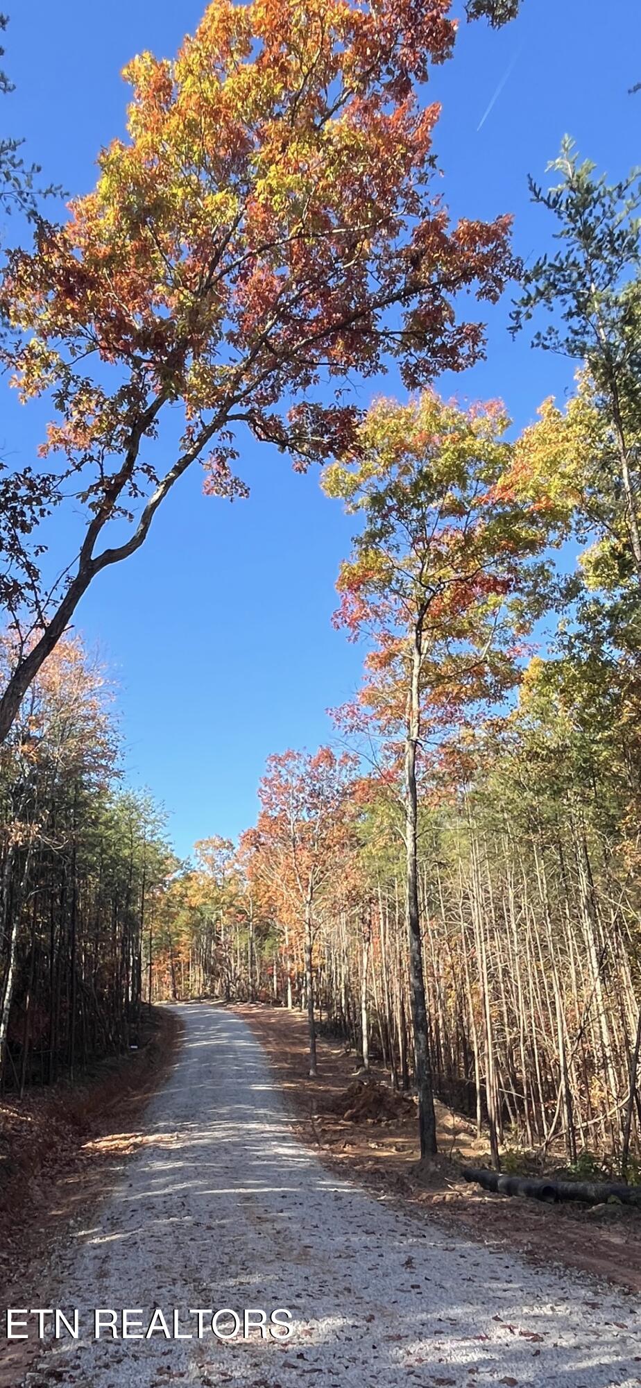 111 Cherokee Path Tellico Plains TN 37385