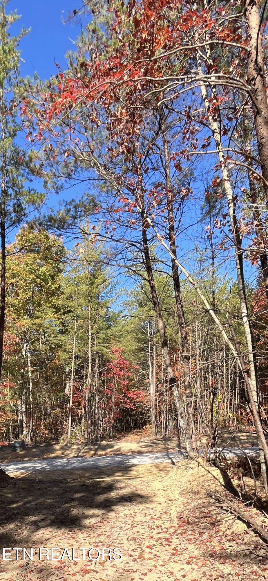 111 Cherokee Path Tellico Plains TN 37385