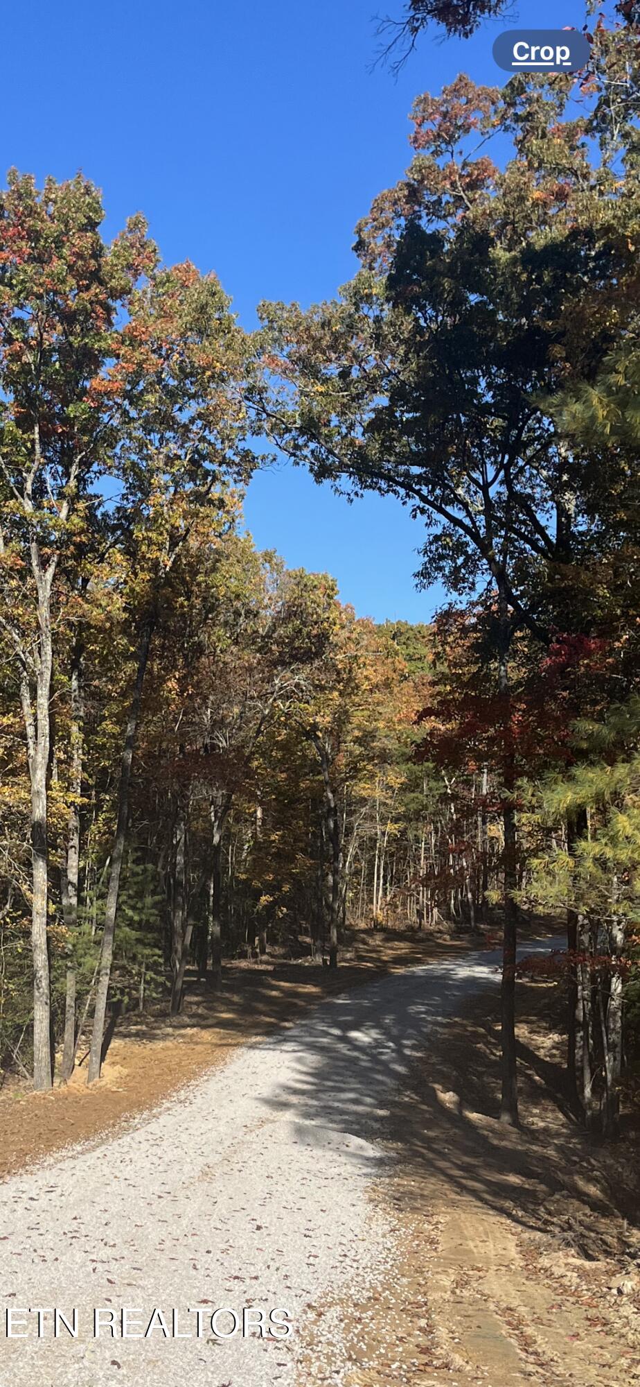 111 Cherokee Path Tellico Plains TN 37385