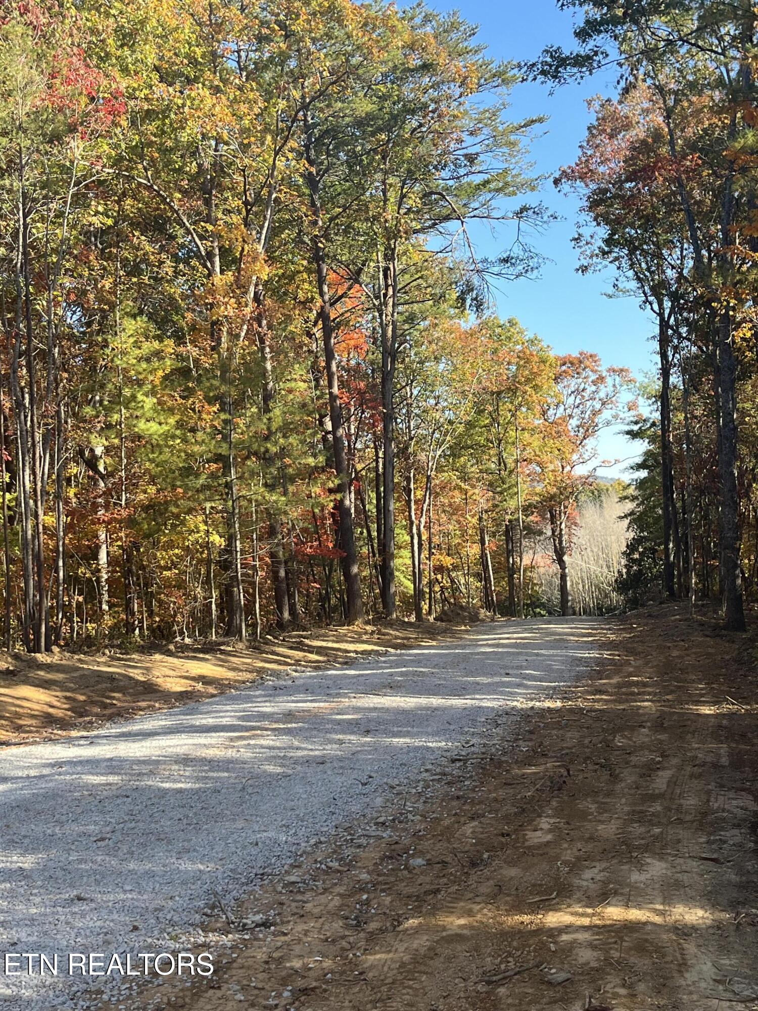 111 Cherokee Path Tellico Plains TN 37385