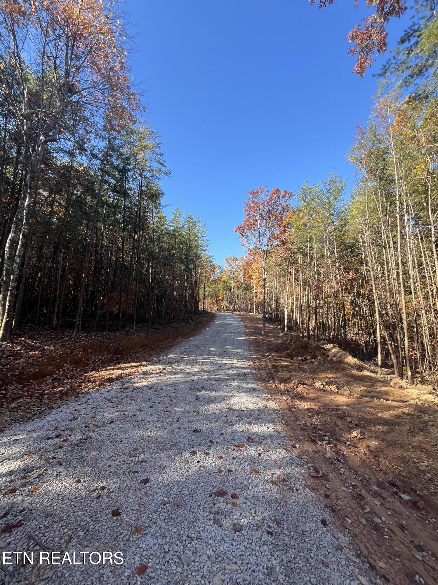 111 Cherokee Path Tellico Plains TN 37385