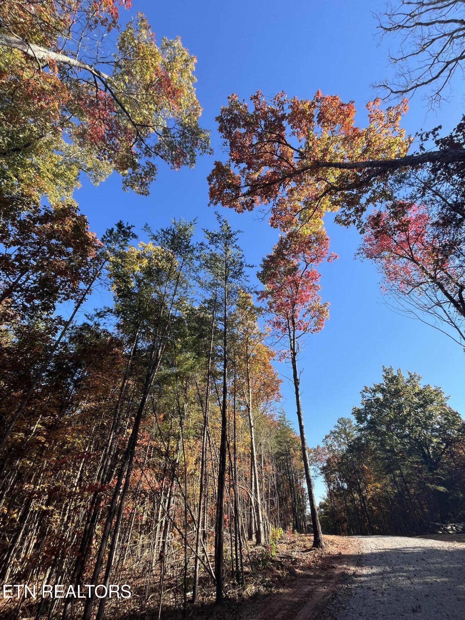 111 Cherokee Path Tellico Plains TN 37385