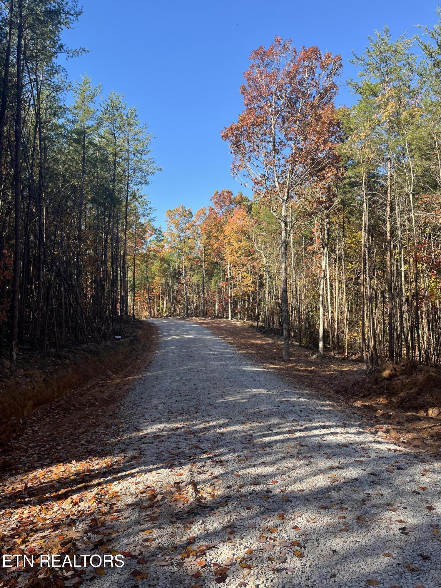 111 Cherokee Path Tellico Plains TN 37385