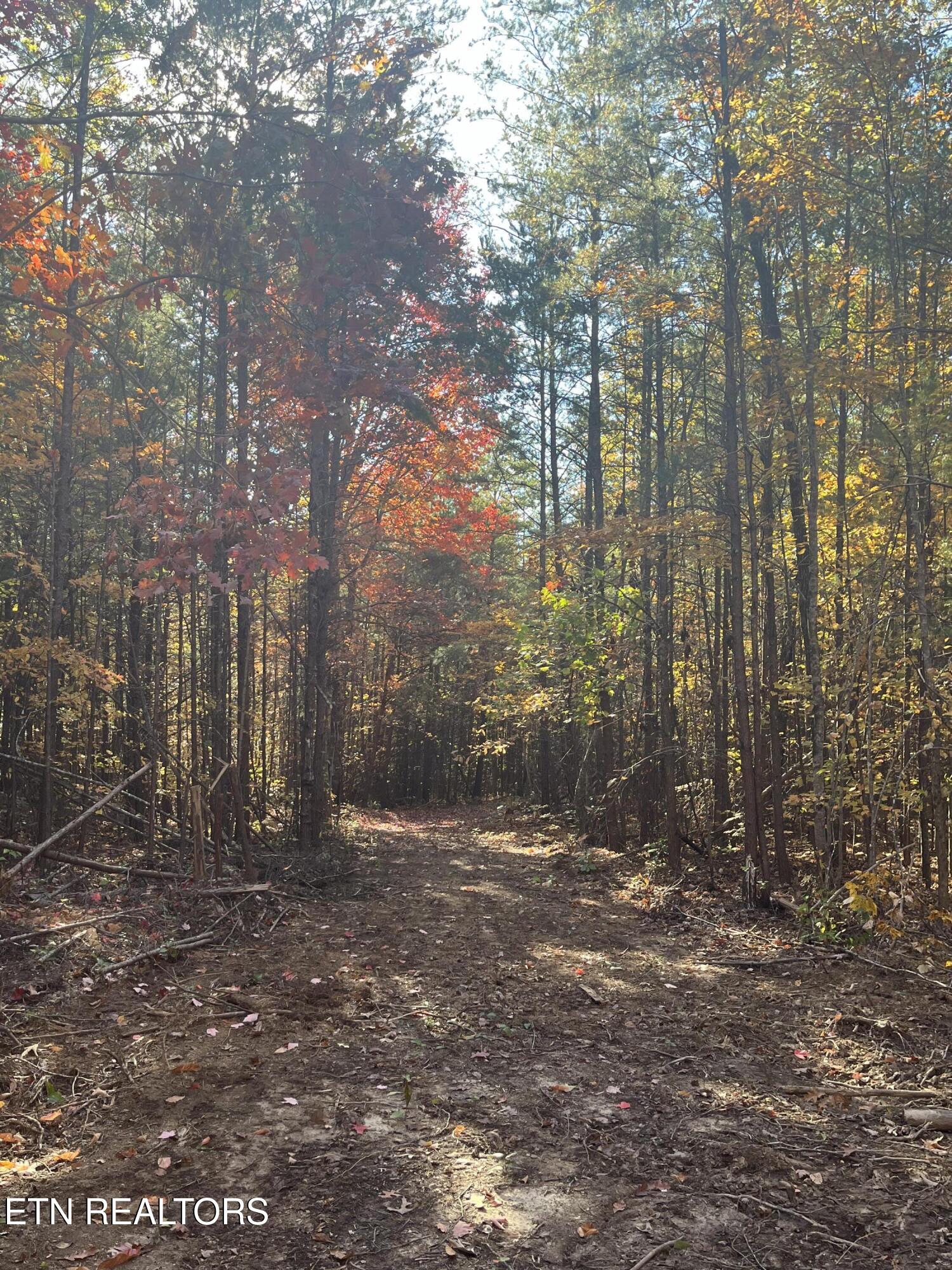 111 Cherokee Path Tellico Plains TN 37385