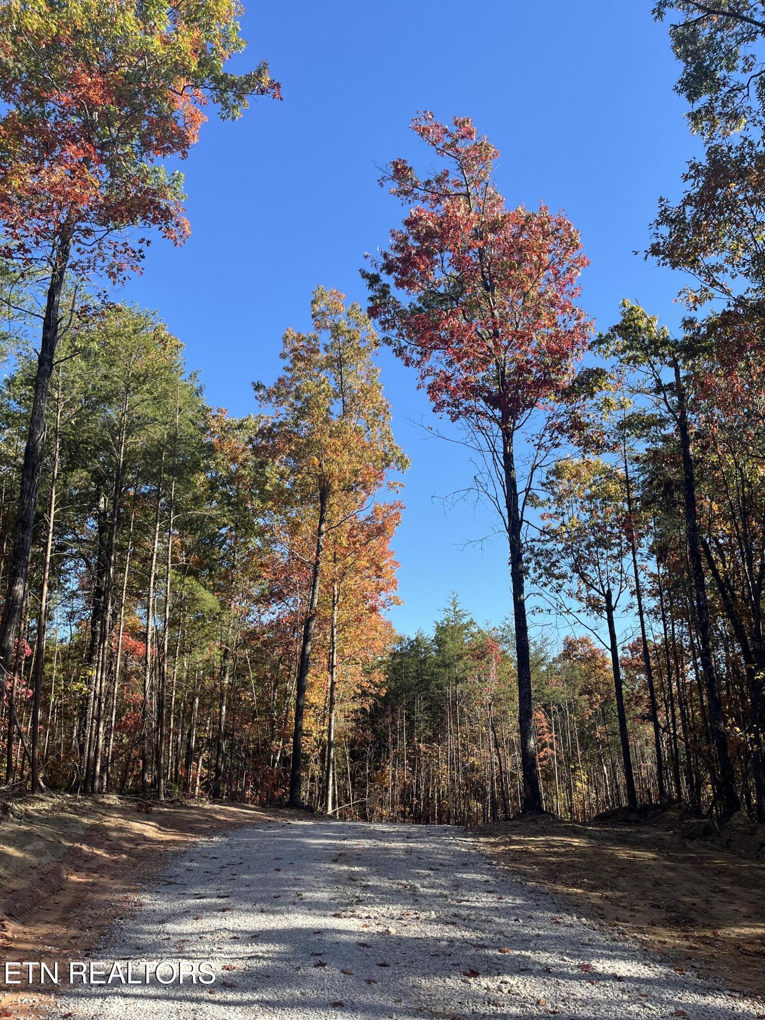 111 Cherokee Path Tellico Plains TN 37385