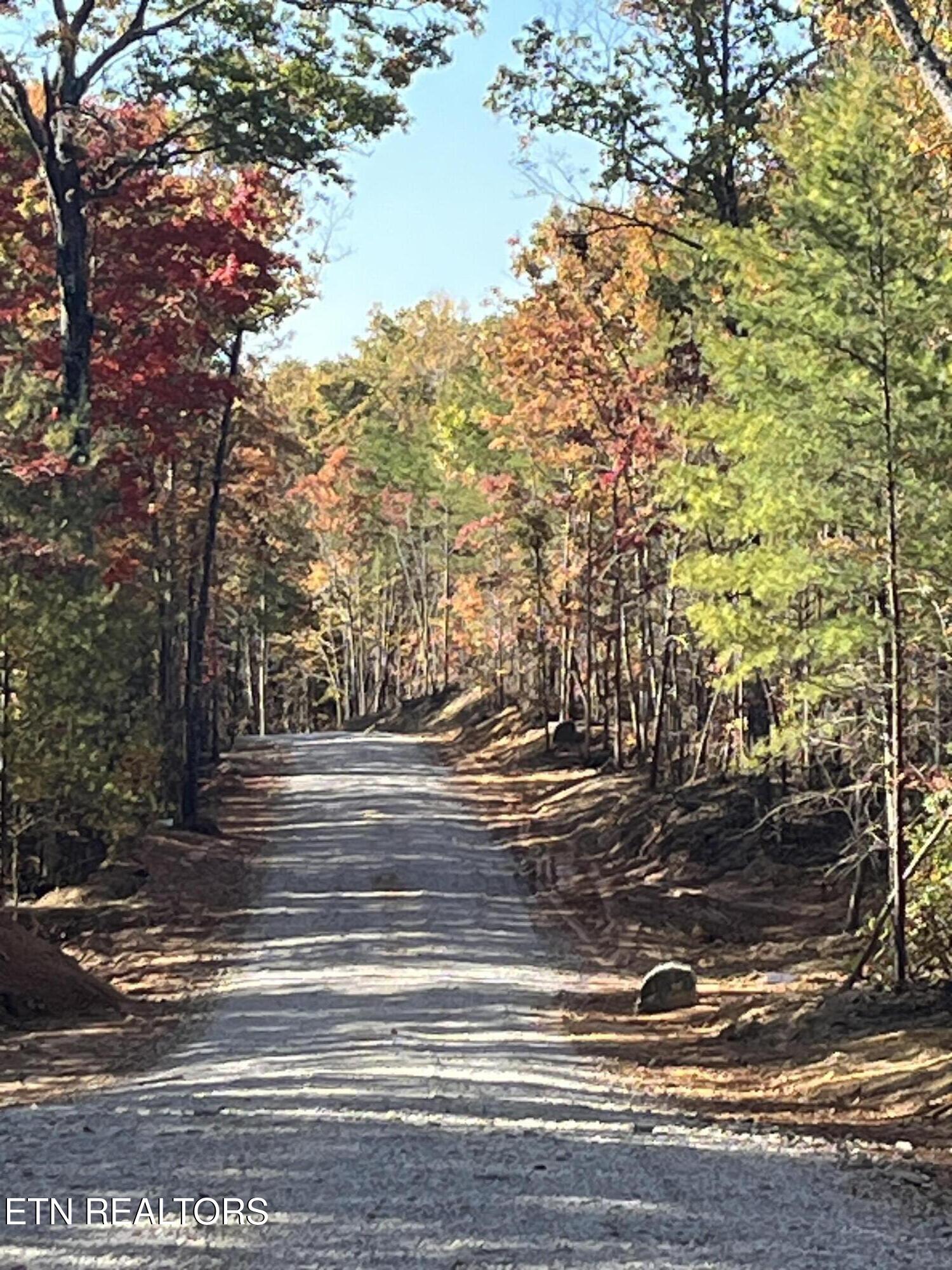 111 Cherokee Path Tellico Plains TN 37385