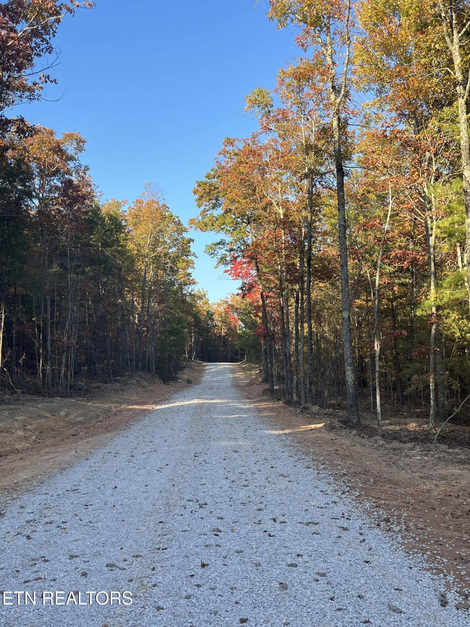 111 Cherokee Path Tellico Plains TN 37385