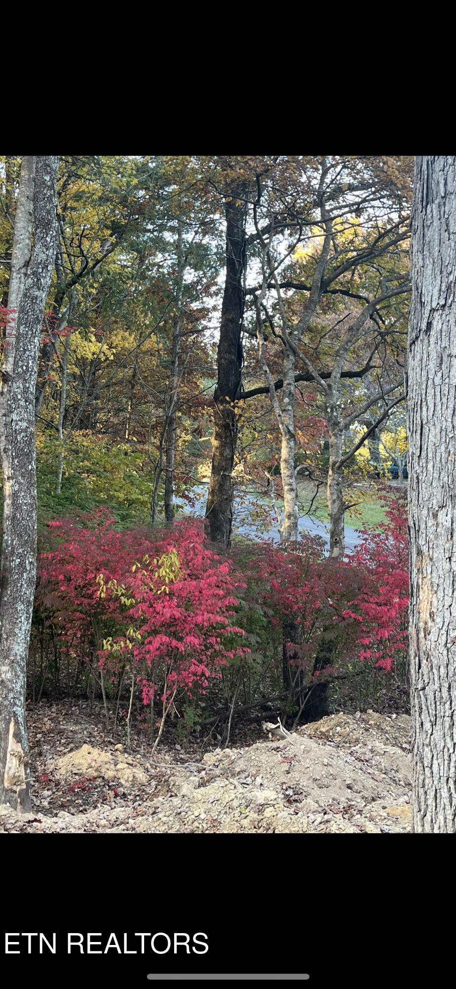 111 Cherokee Path Tellico Plains TN 37385