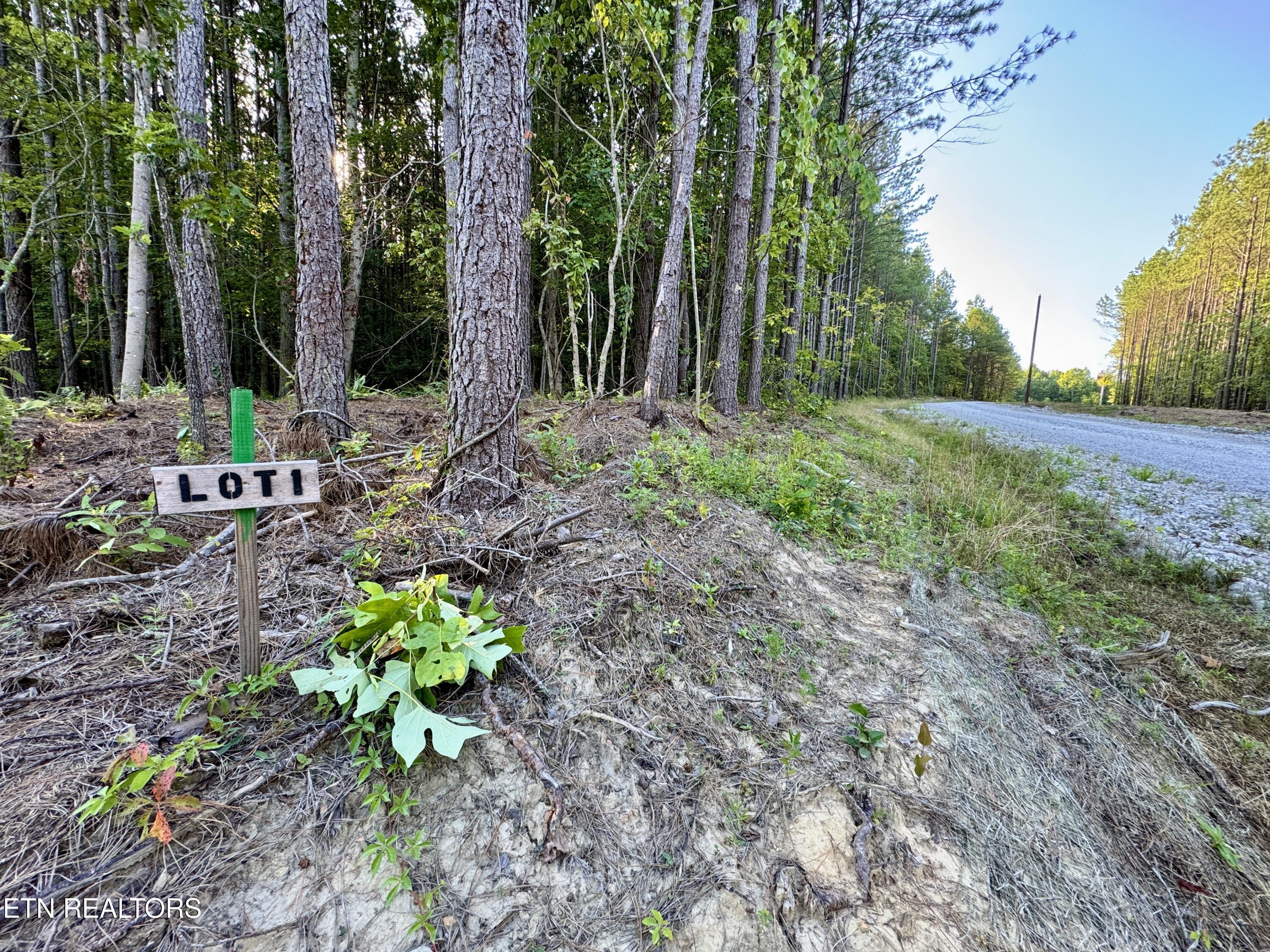 Lot 10 Airport Road Rockwood TN 37854