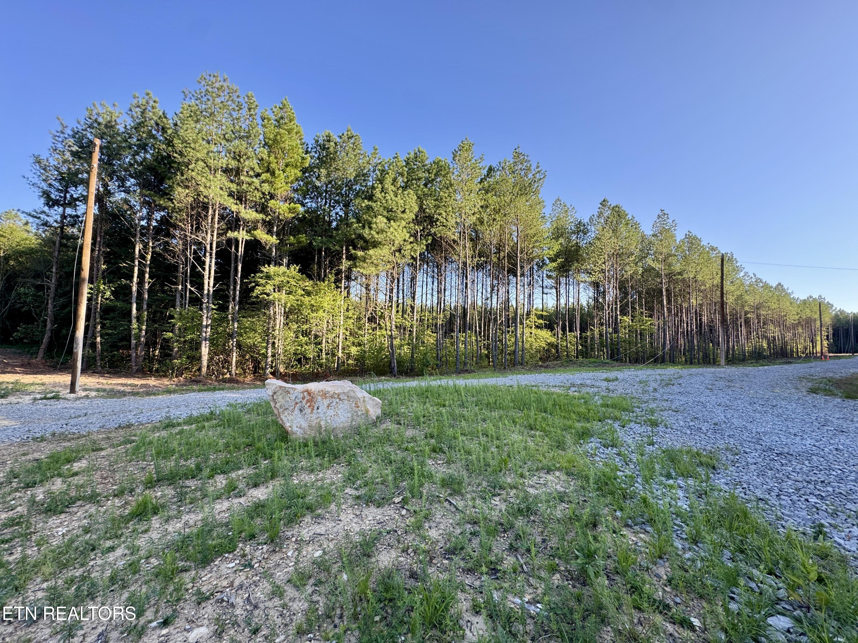 Lot 10 Airport Road Rockwood TN 37854