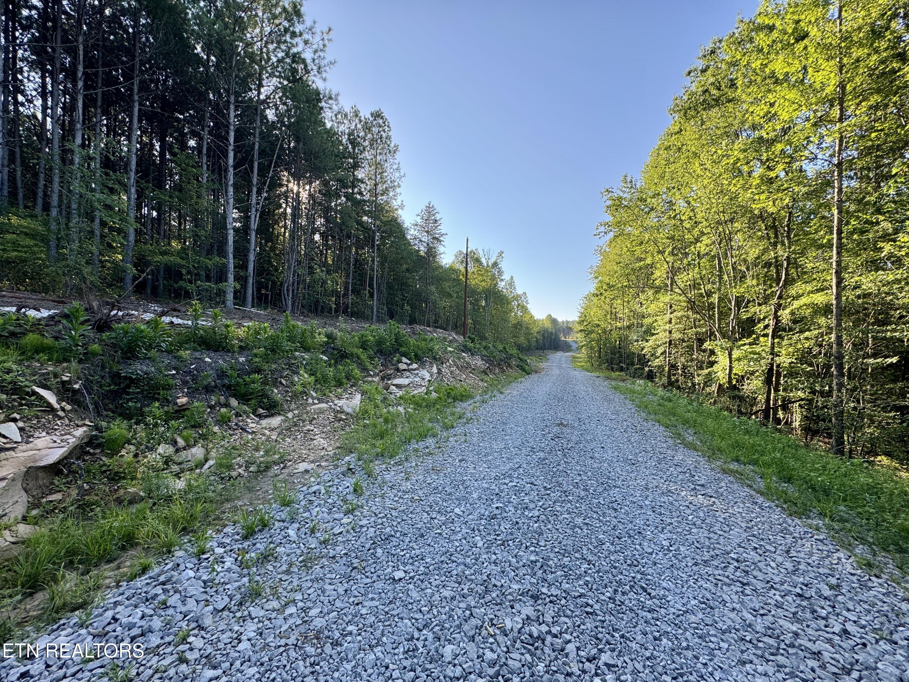 Lot 10 Airport Road Rockwood TN 37854