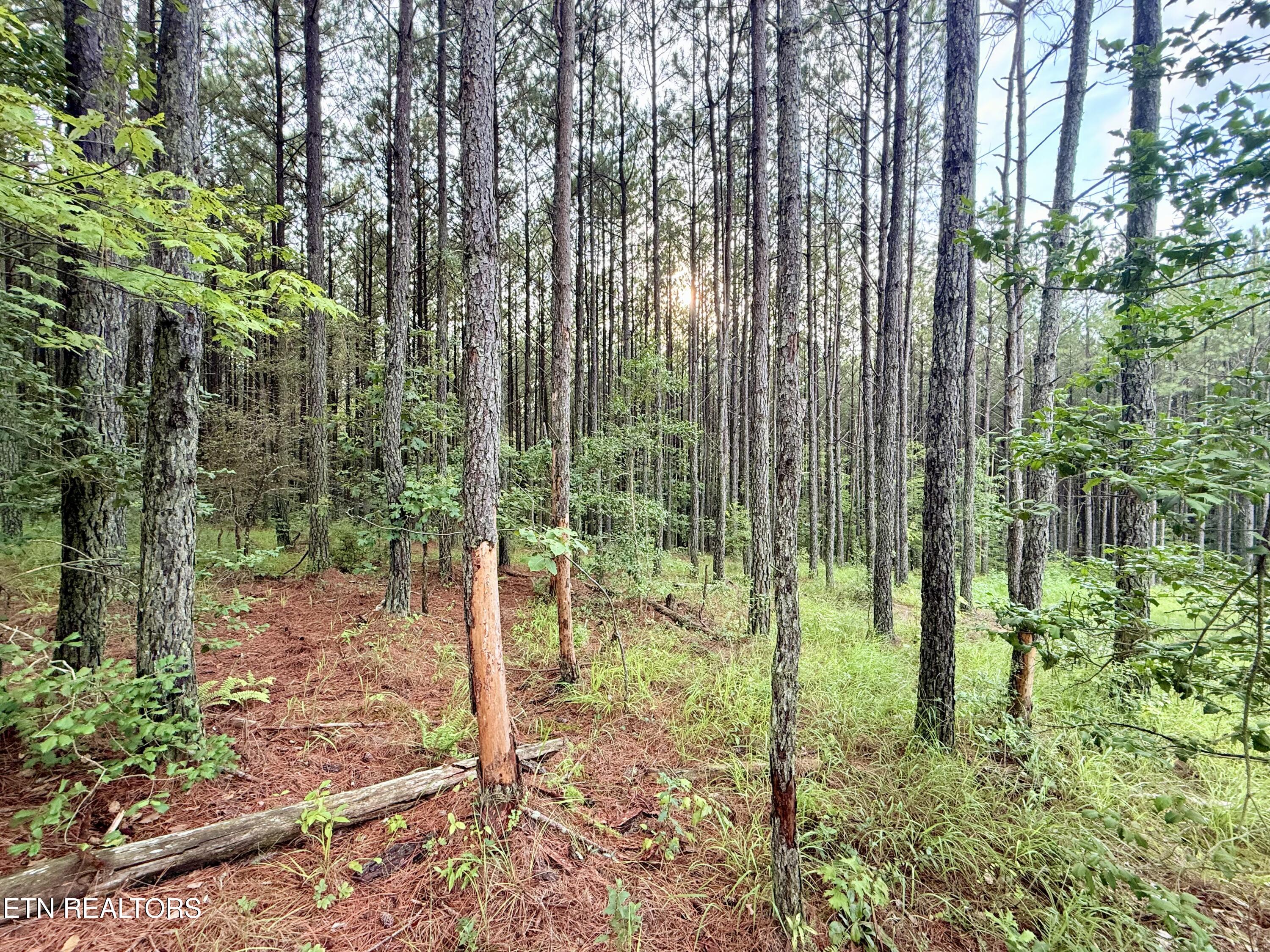 Lot 10 Airport Road Rockwood TN 37854
