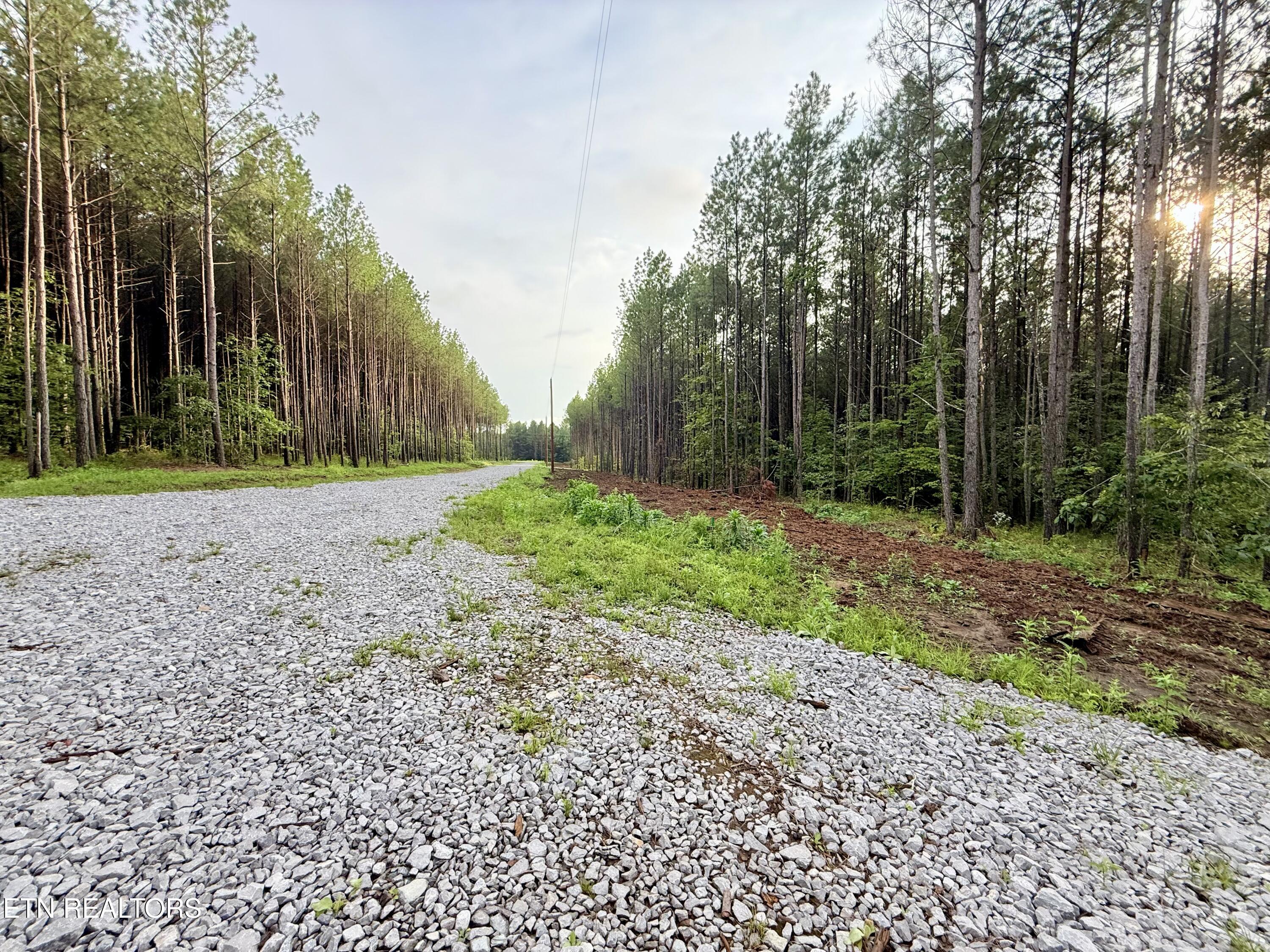Lot 10 Airport Road Rockwood TN 37854