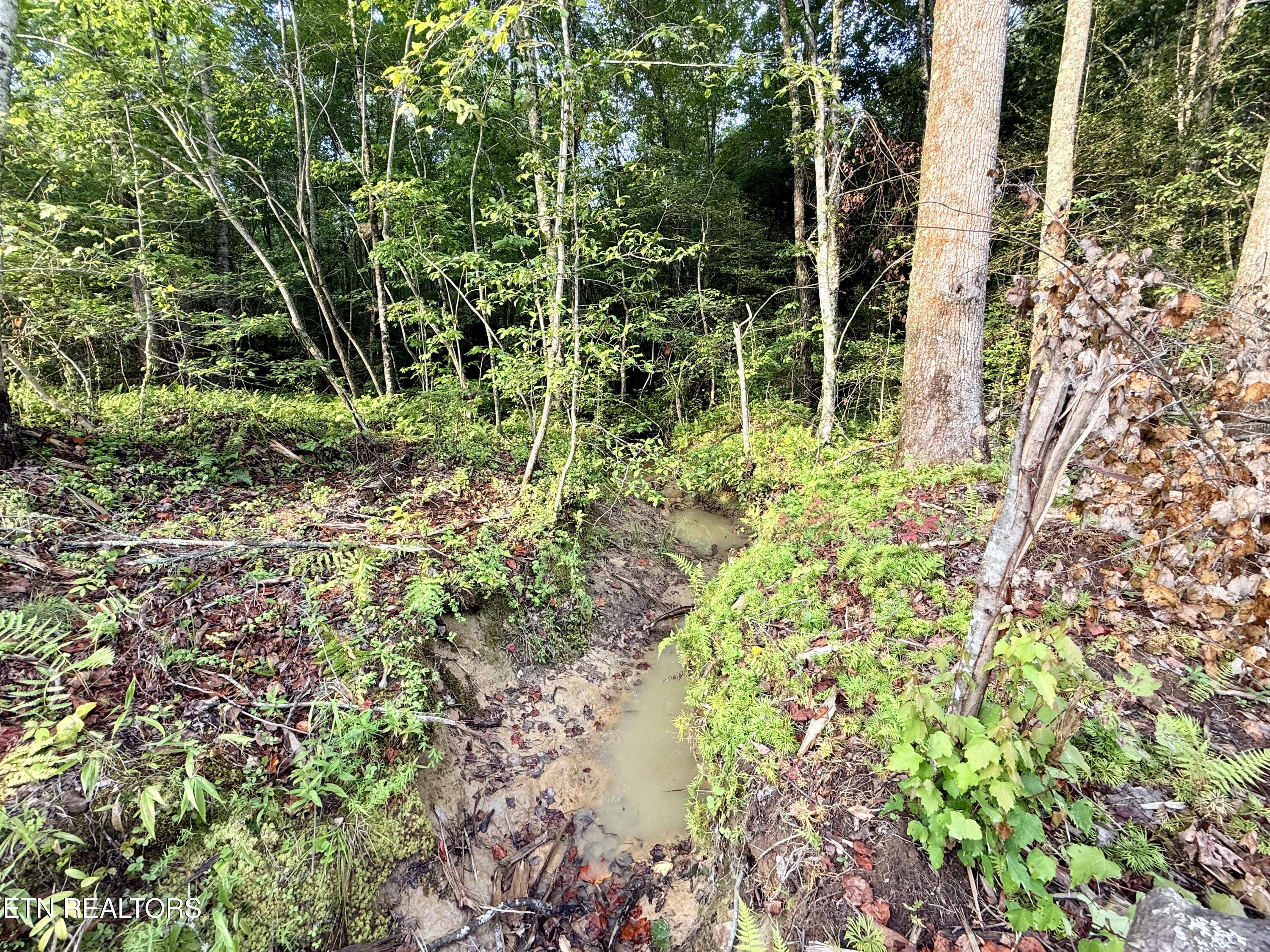 Lot 10 Airport Road Rockwood TN 37854