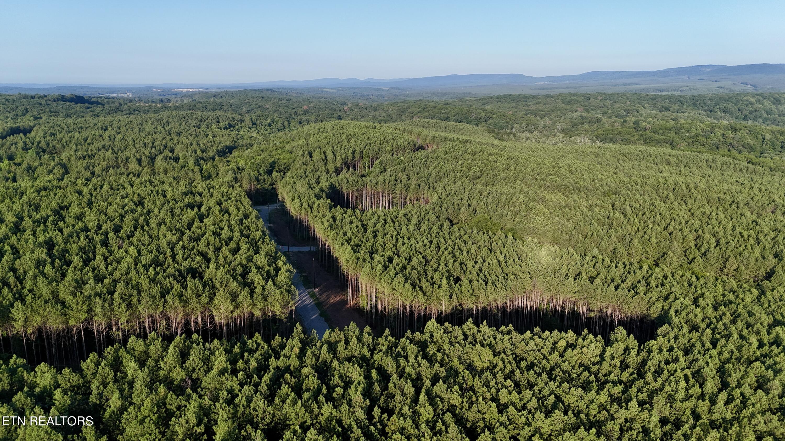 Lot 10 Airport Road Rockwood TN 37854