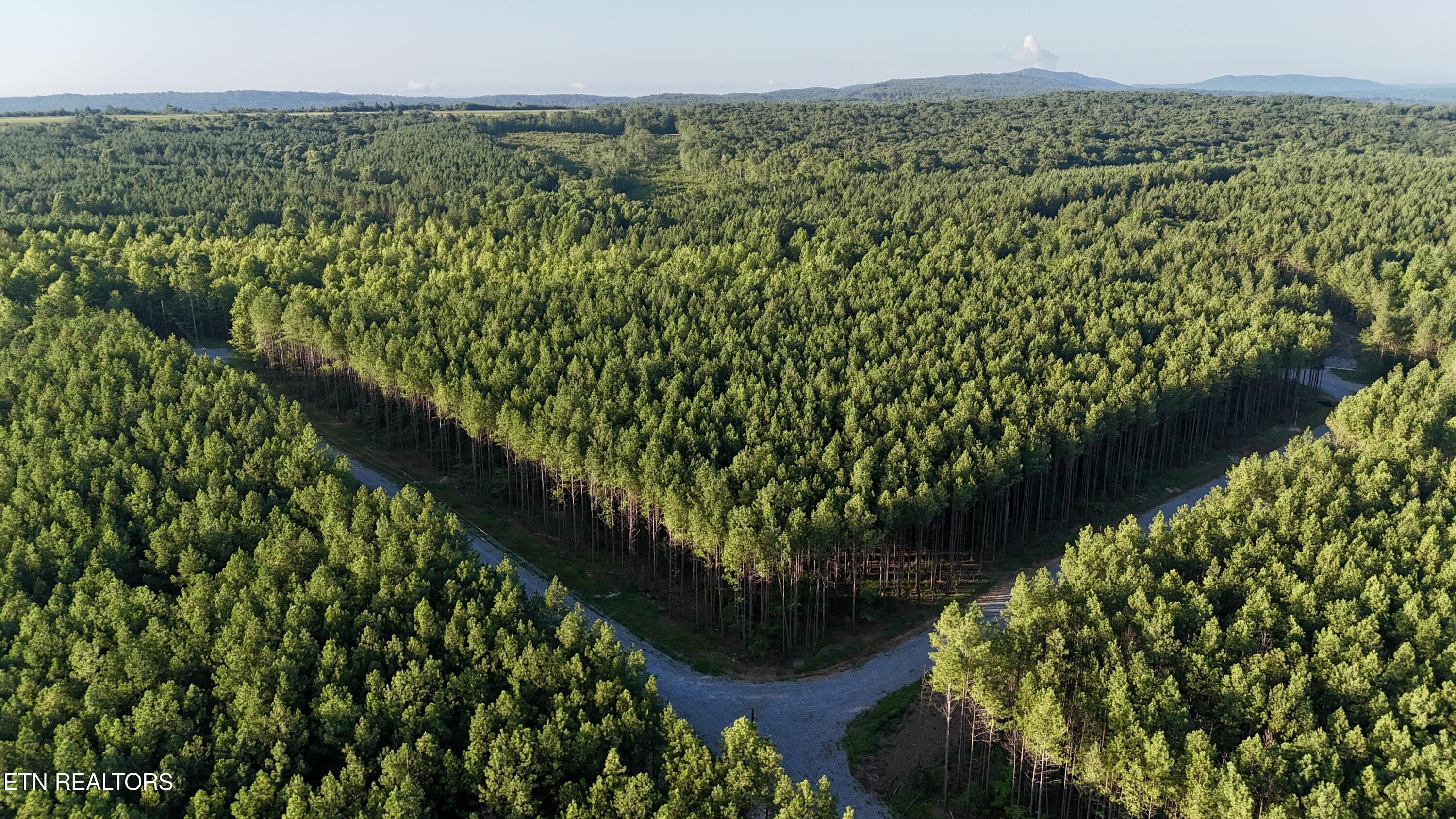 Lot 10 Airport Road Rockwood TN 37854
