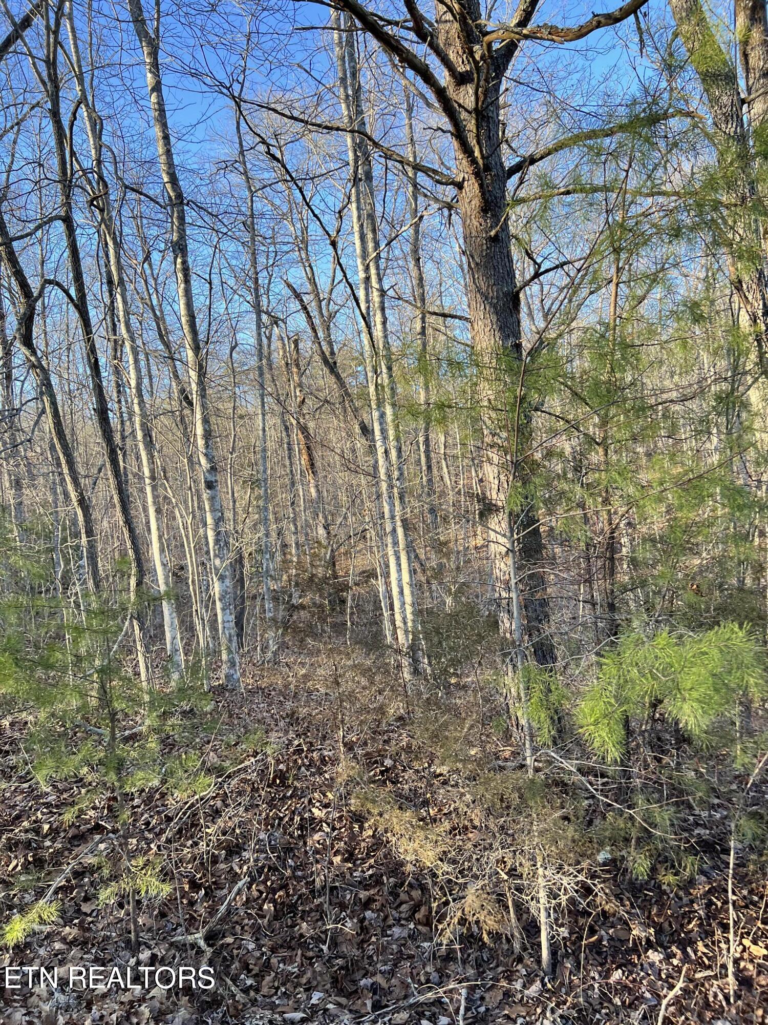 443 St. George Drive Crossville TN 38558