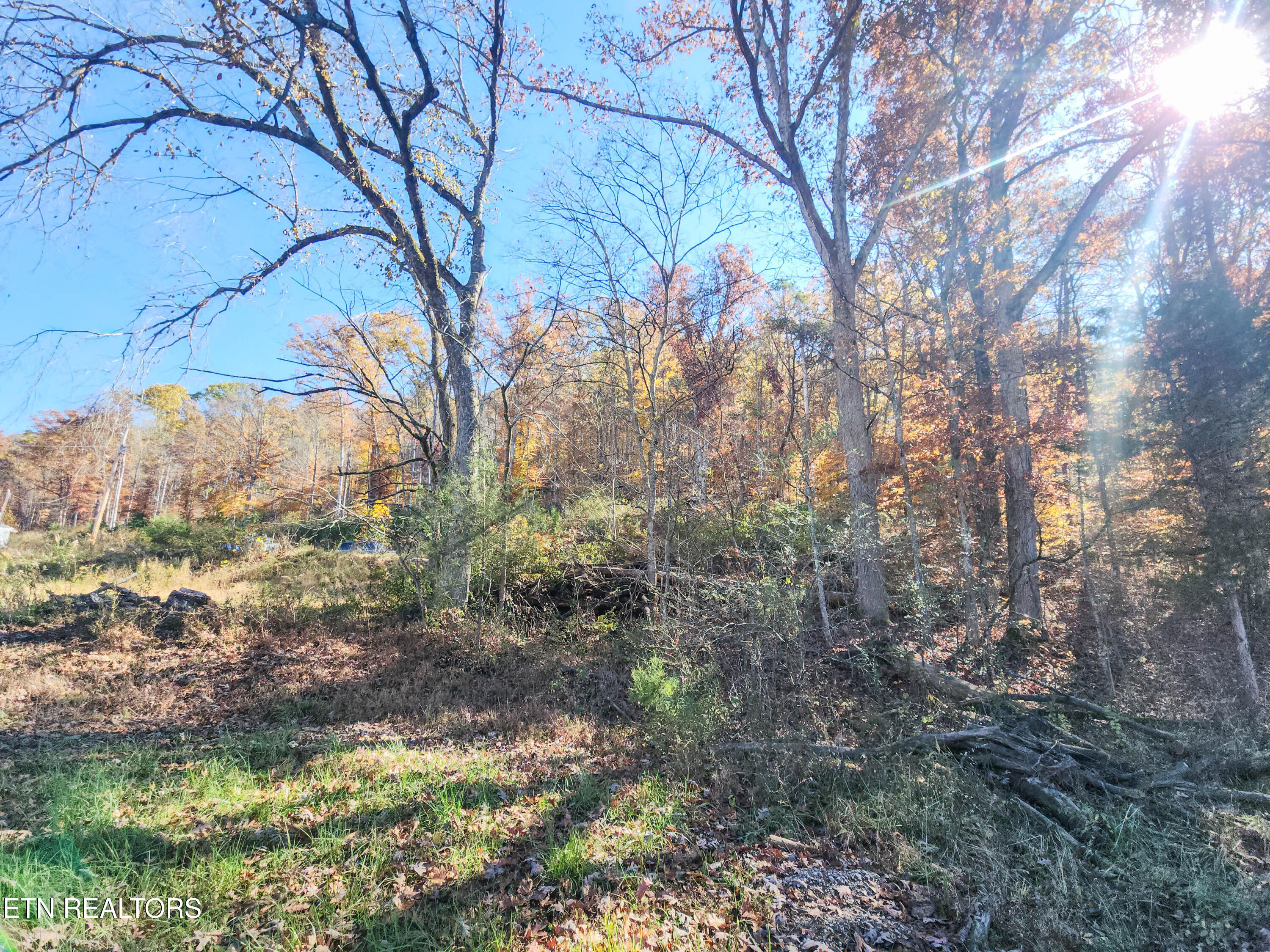 738 & 742 Archer Road Luttrell TN 37779