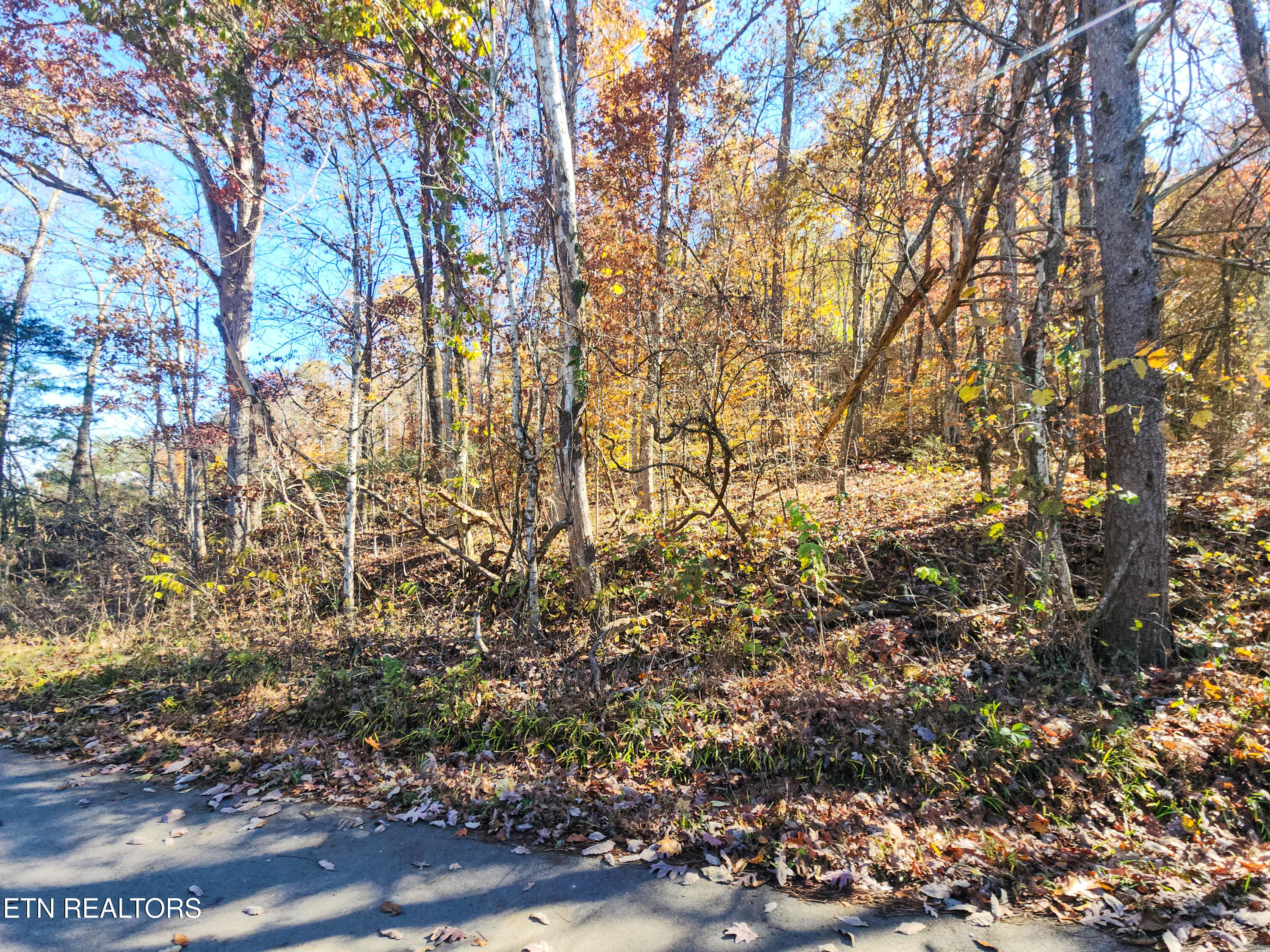 738 & 742 Archer Road Luttrell TN 37779