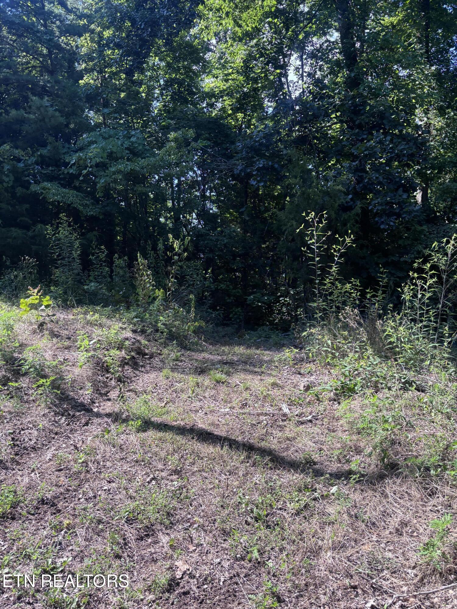 300 Walker Road Sharps Chapel TN 37866