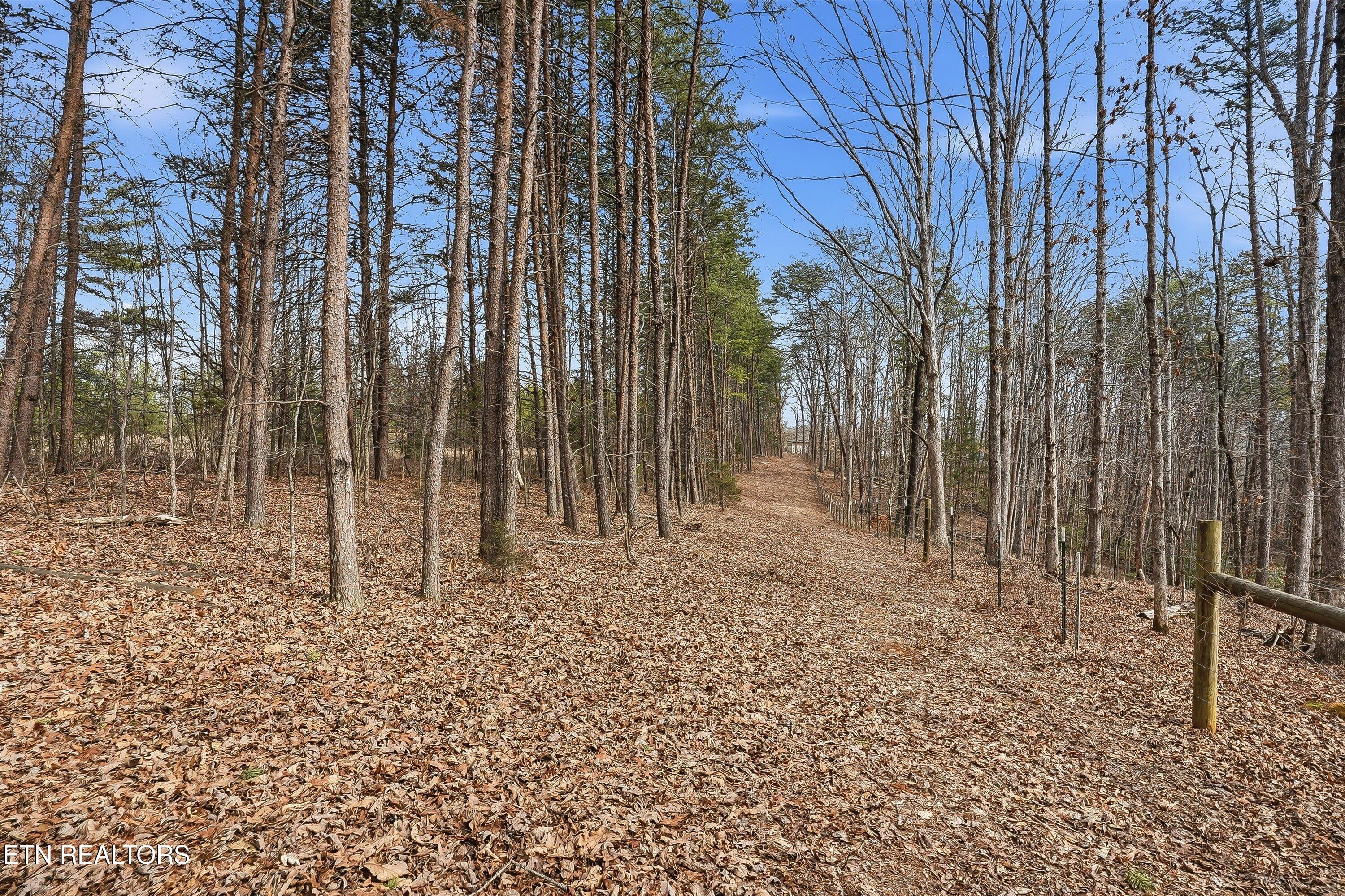 1518 Tom Mccall Road Maryville TN 37801
