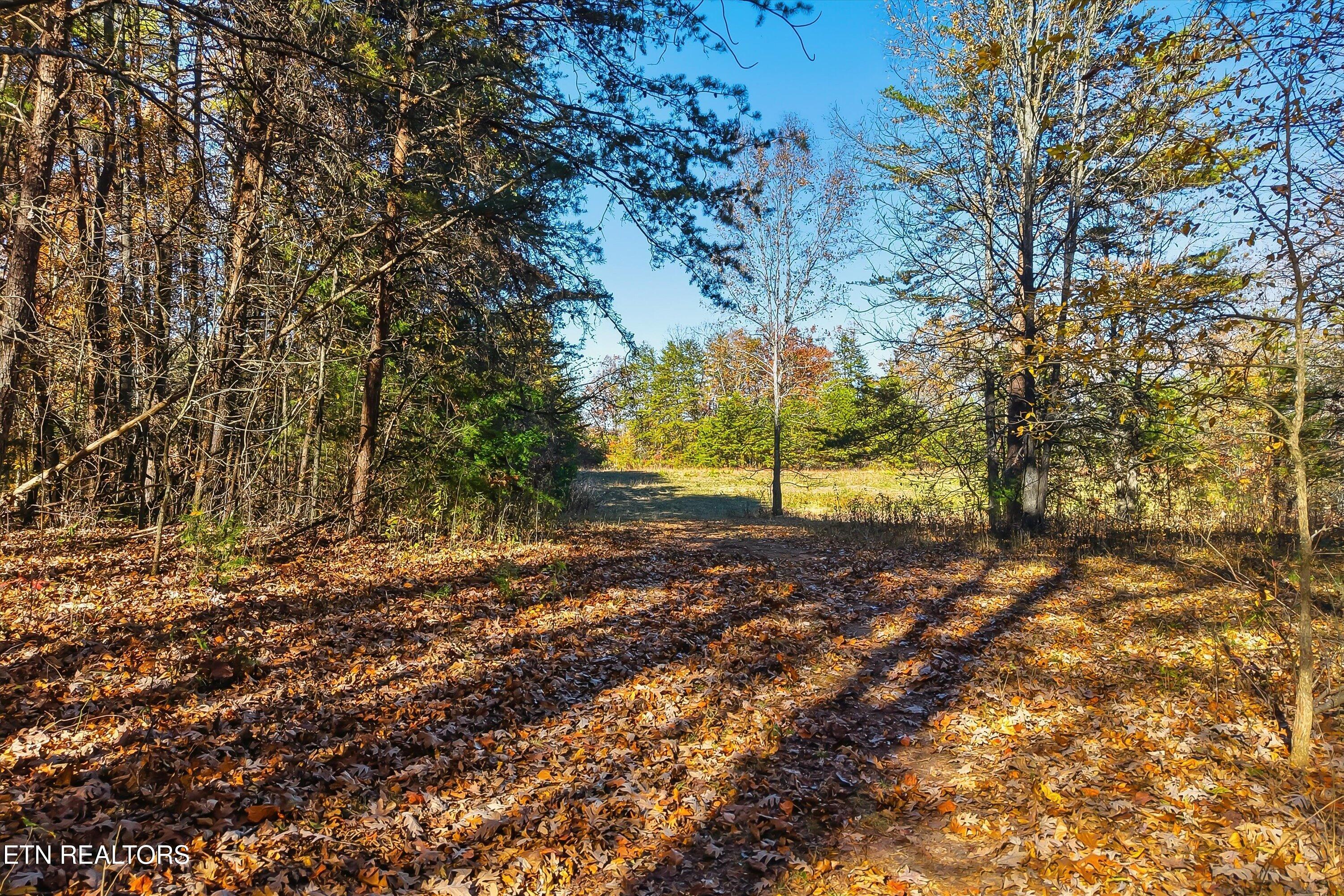 1518 Tom Mccall Road Maryville TN 37801