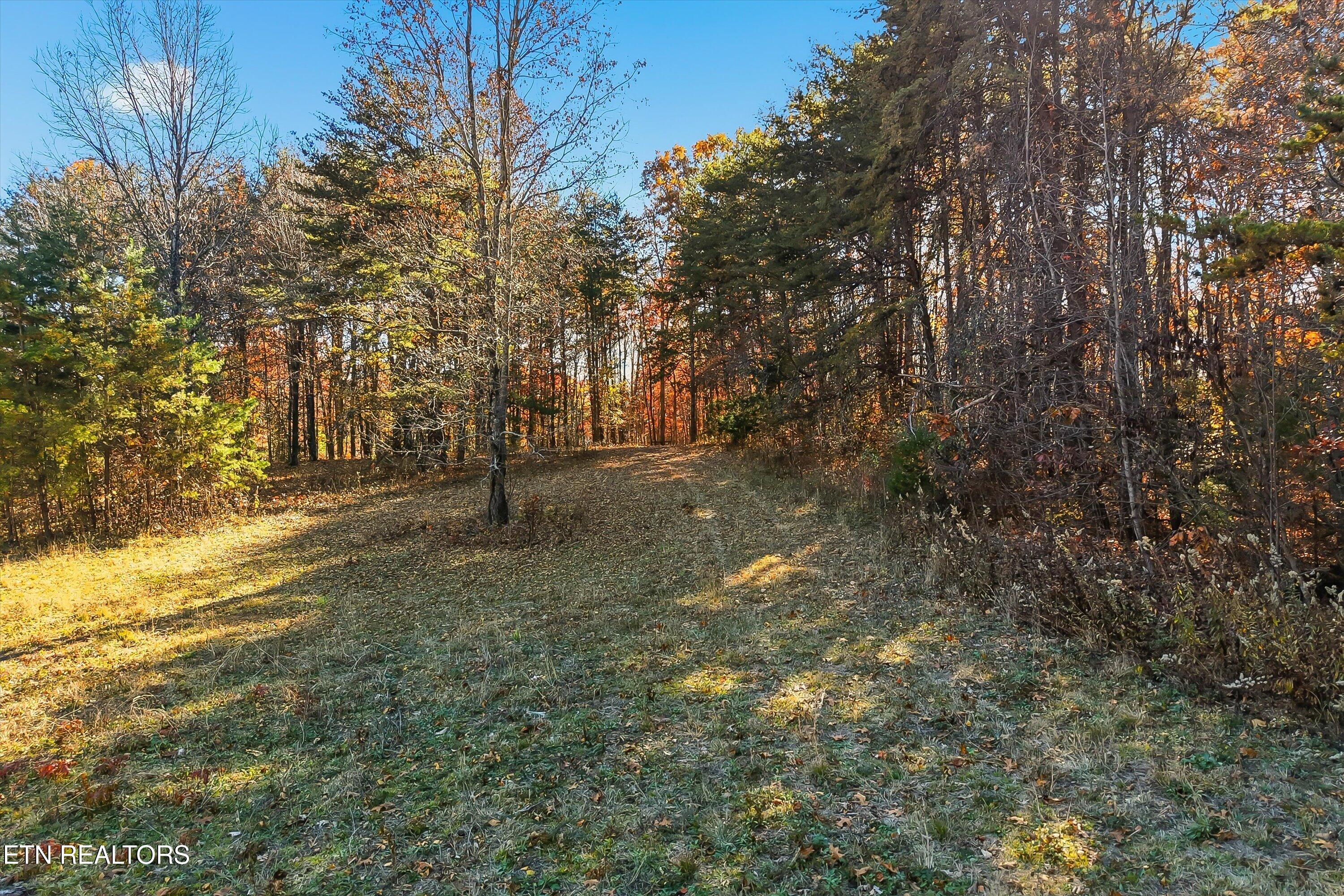 1518 Tom Mccall Road Maryville TN 37801