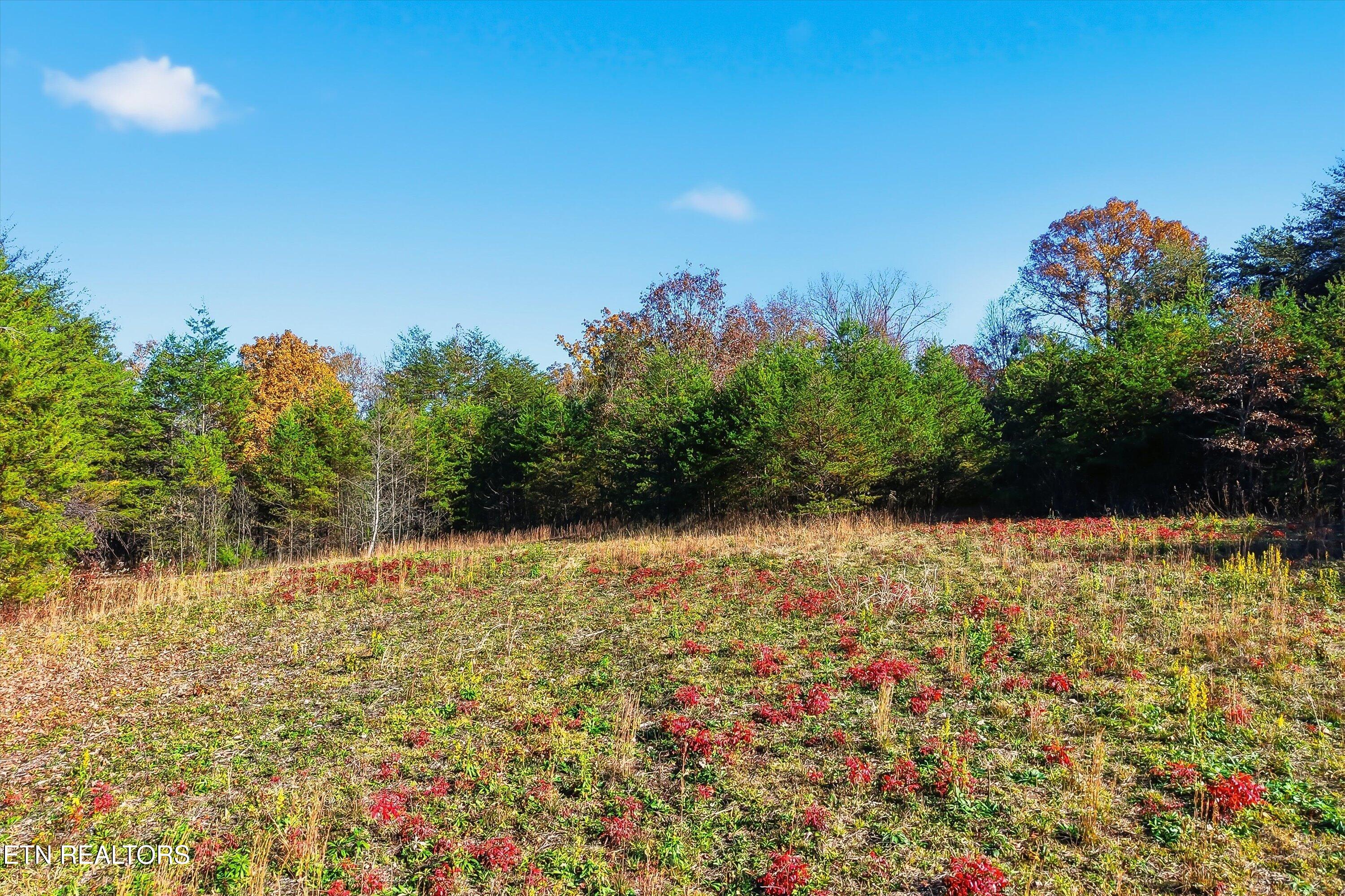 1518 Tom Mccall Road Maryville TN 37801
