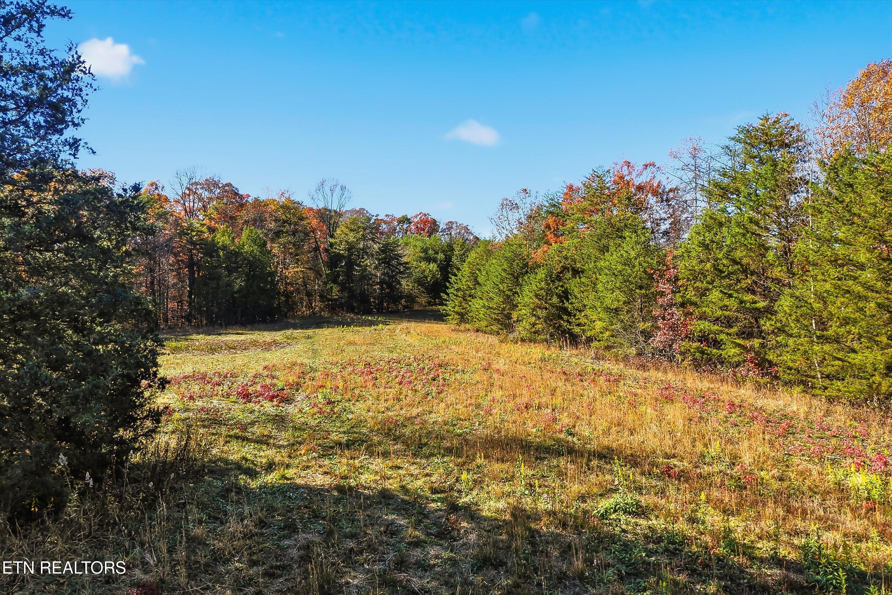 1518 Tom Mccall Road Maryville TN 37801