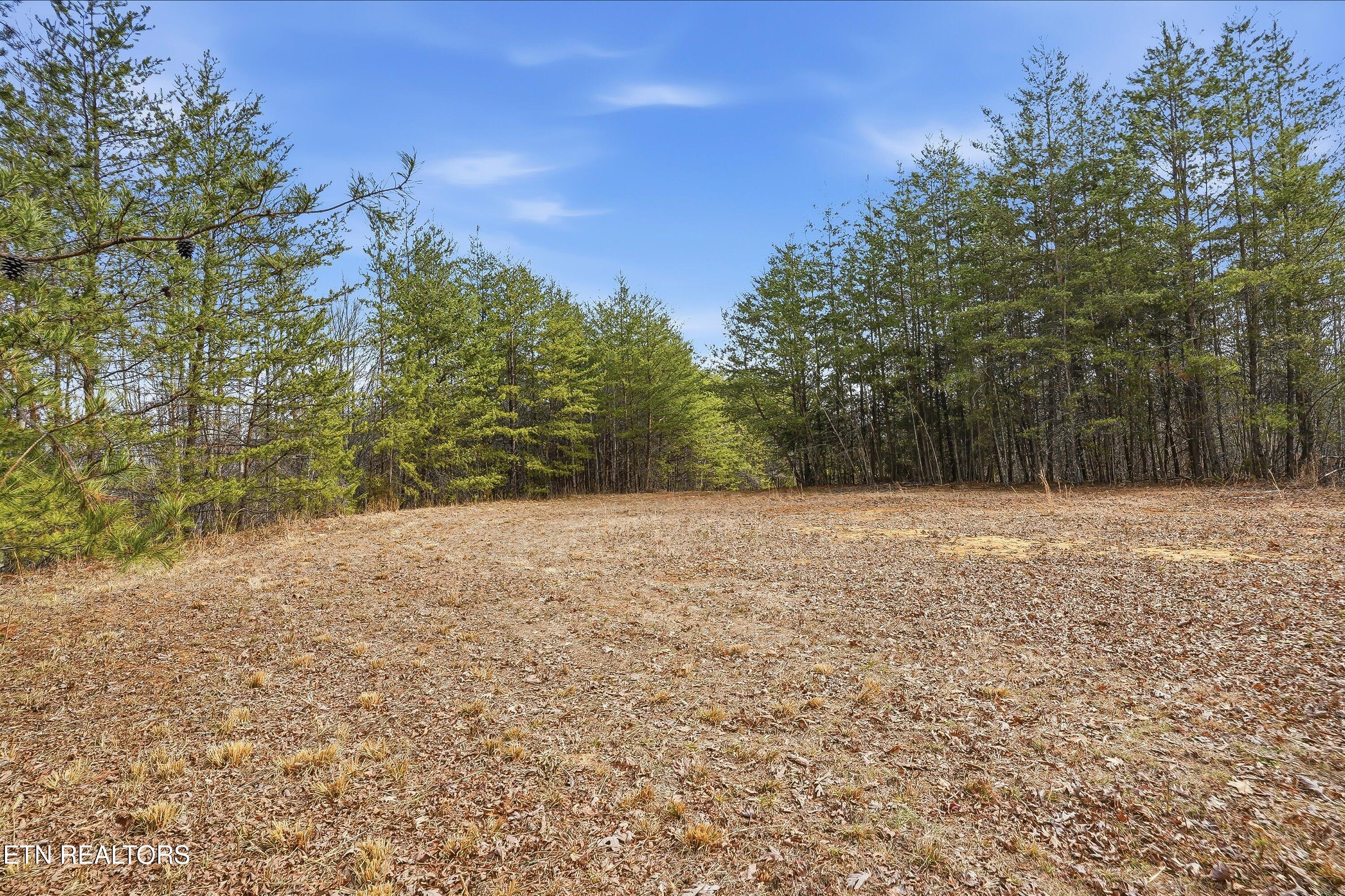 1518 Tom Mccall Road Maryville TN 37801
