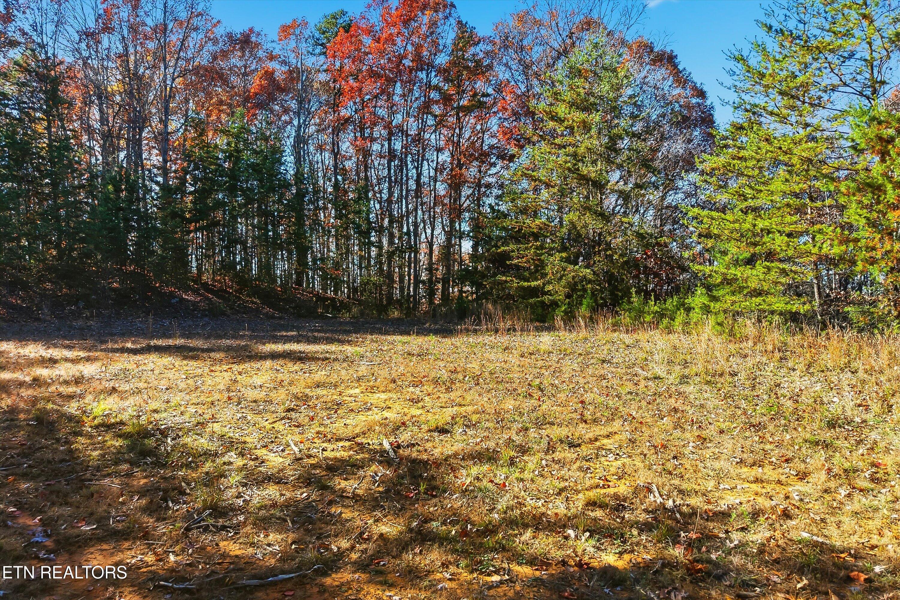 1518 Tom Mccall Road Maryville TN 37801