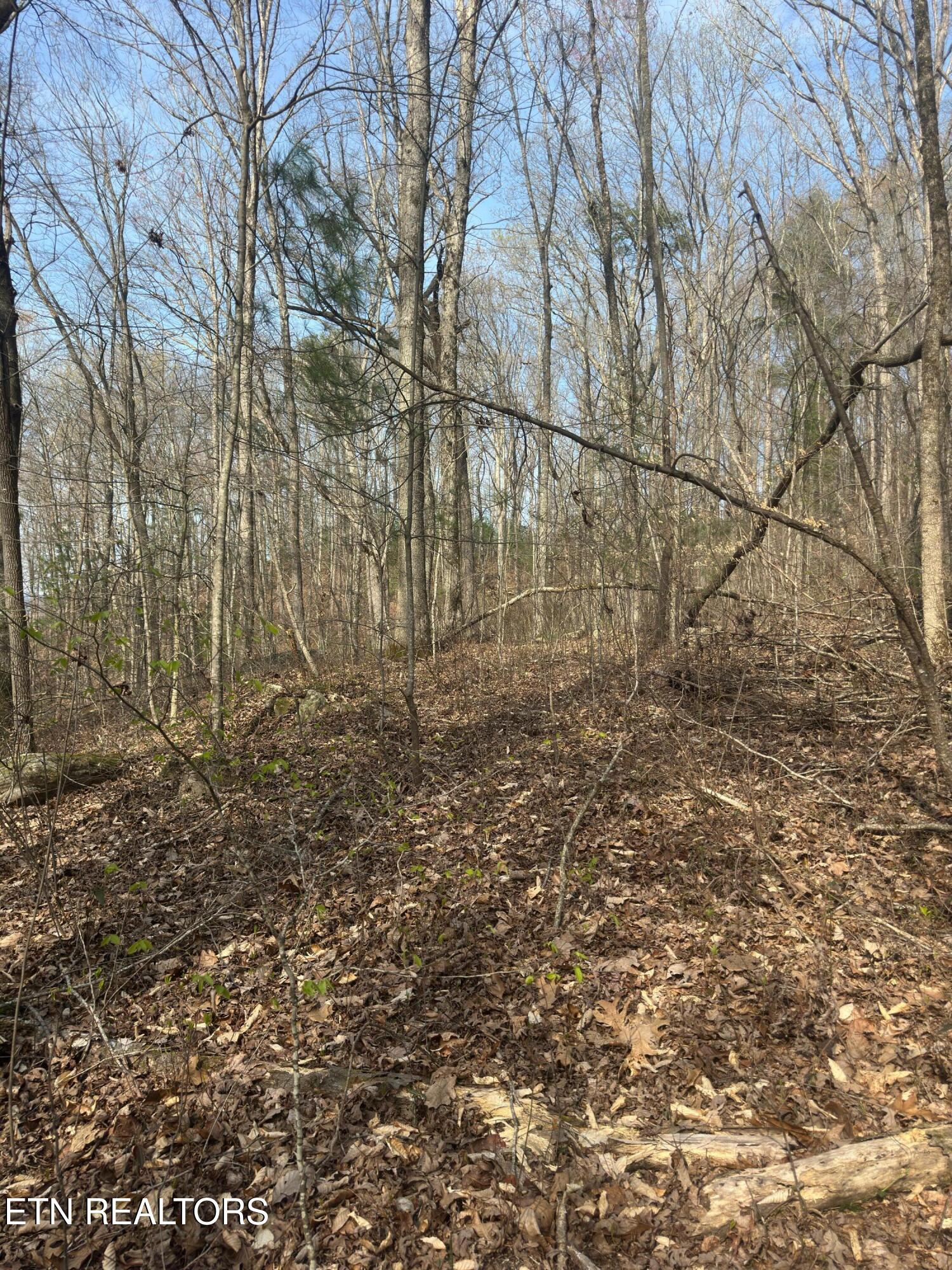 320 Frost Bottom Road Oliver Springs TN 37840