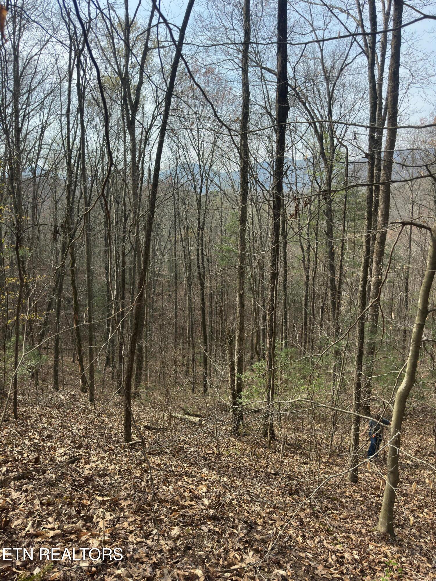 320 Frost Bottom Road Oliver Springs TN 37840