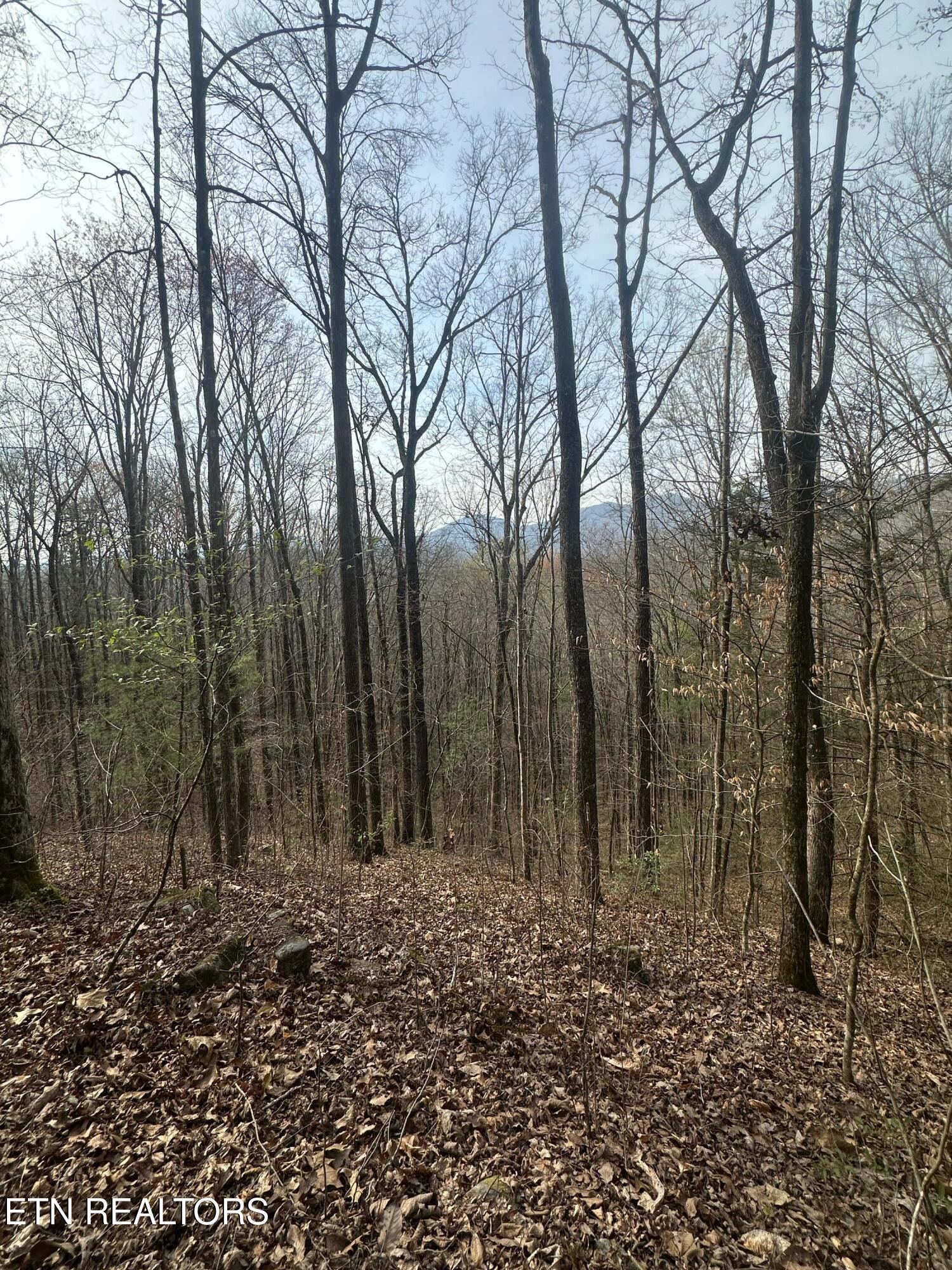 320 Frost Bottom Road Oliver Springs TN 37840