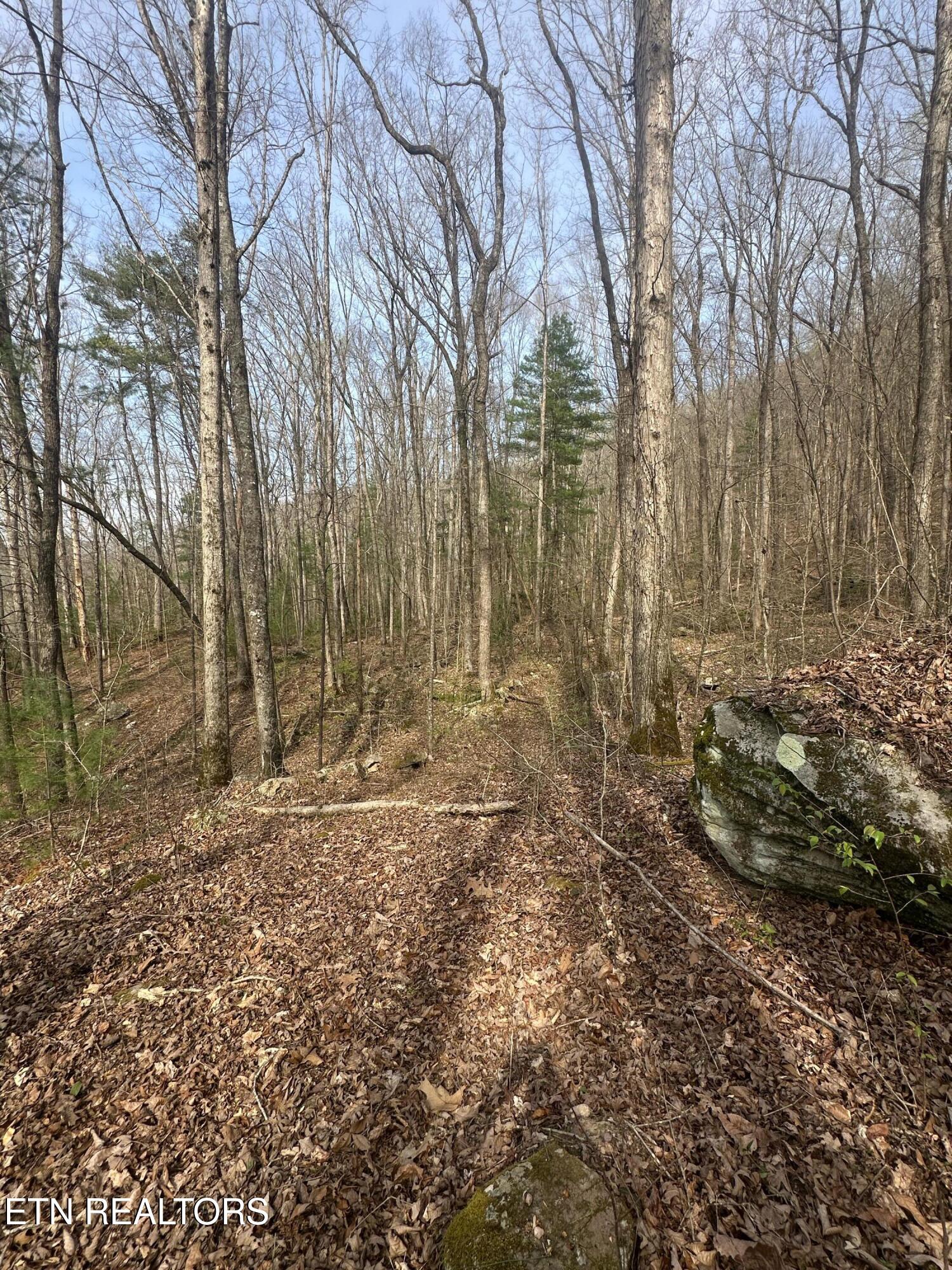 320 Frost Bottom Road Oliver Springs TN 37840