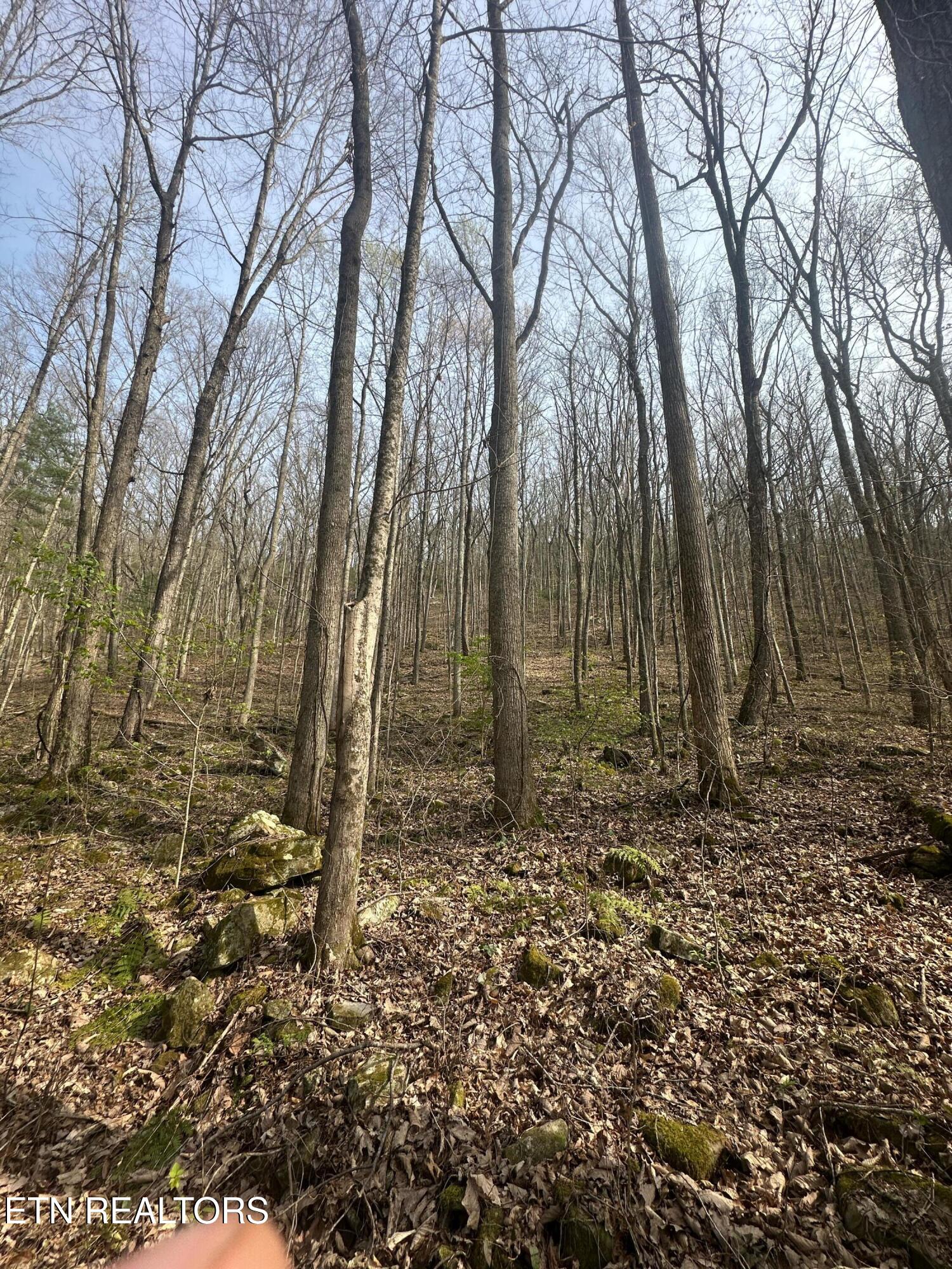 320 Frost Bottom Road Oliver Springs TN 37840
