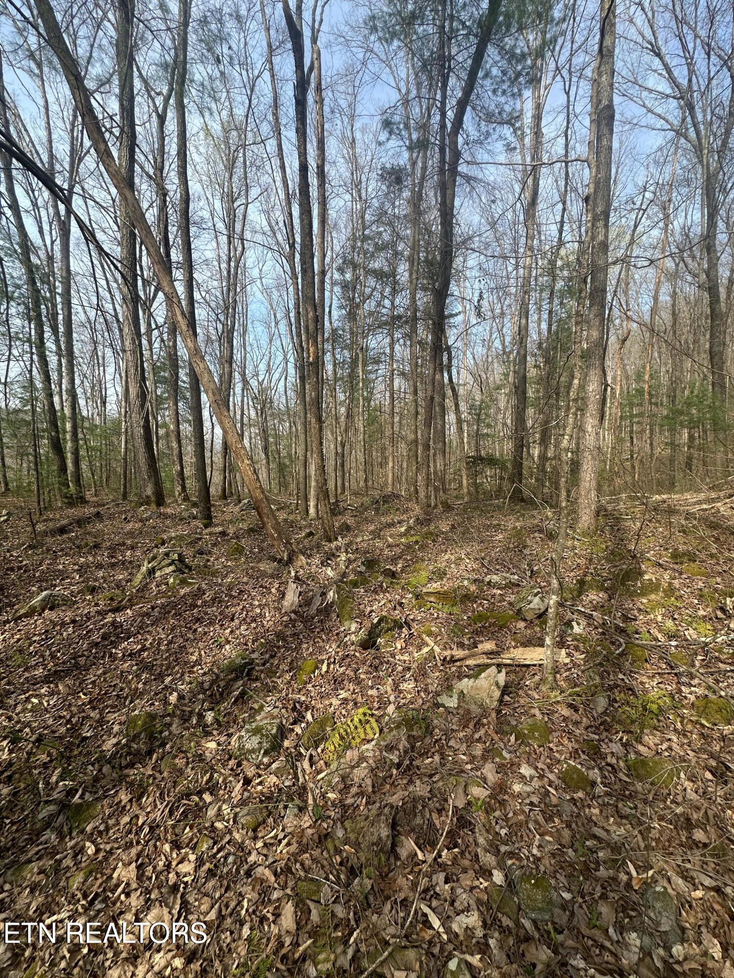 320 Frost Bottom Road Oliver Springs TN 37840