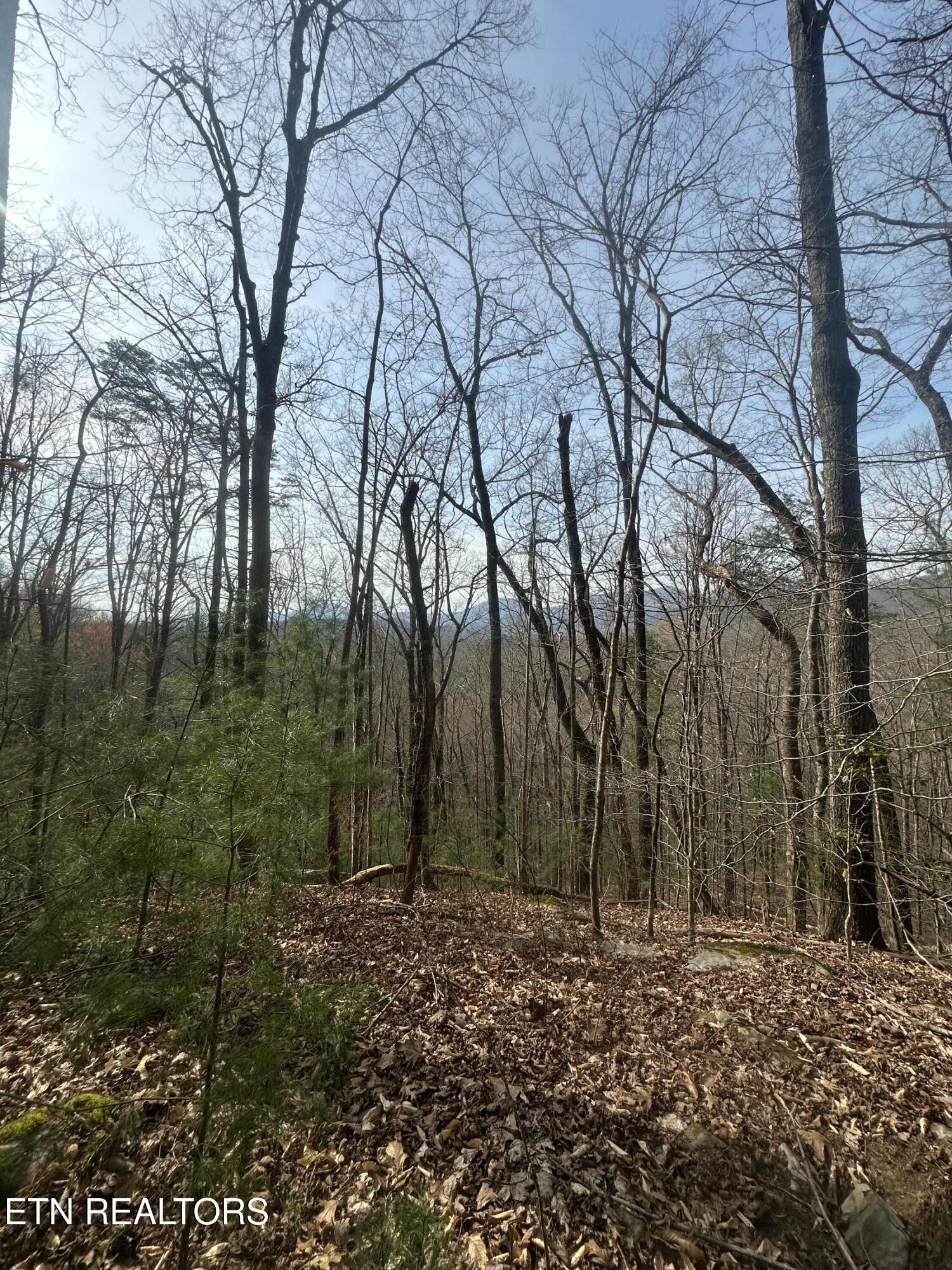 320 Frost Bottom Road Oliver Springs TN 37840