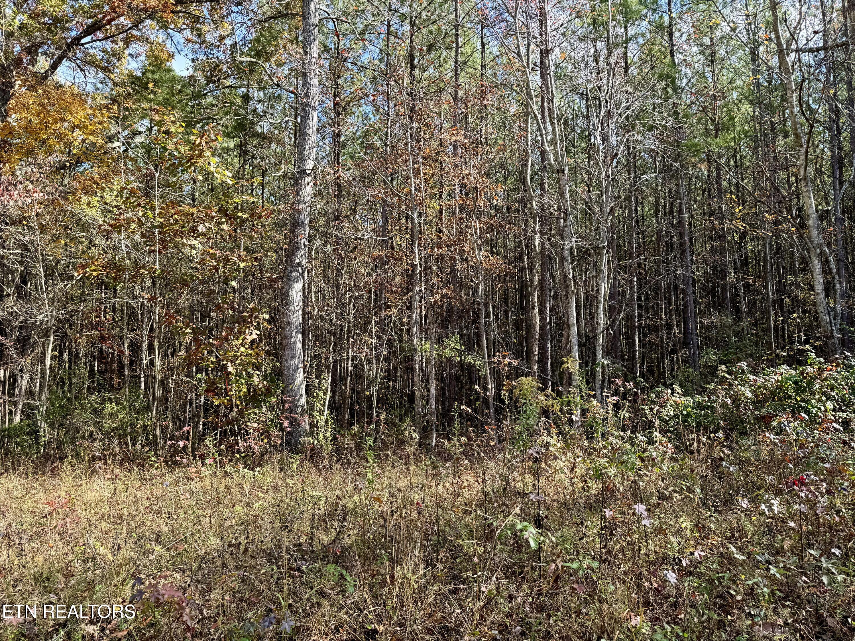 Lower Rockwood Road Lot 21 Rockwood TN 37854