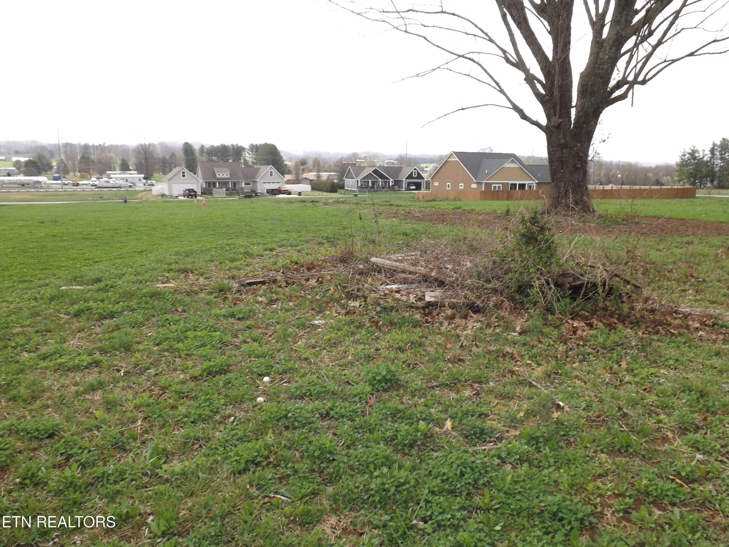 132 Auggie Belle Lane Speedwell TN 37870