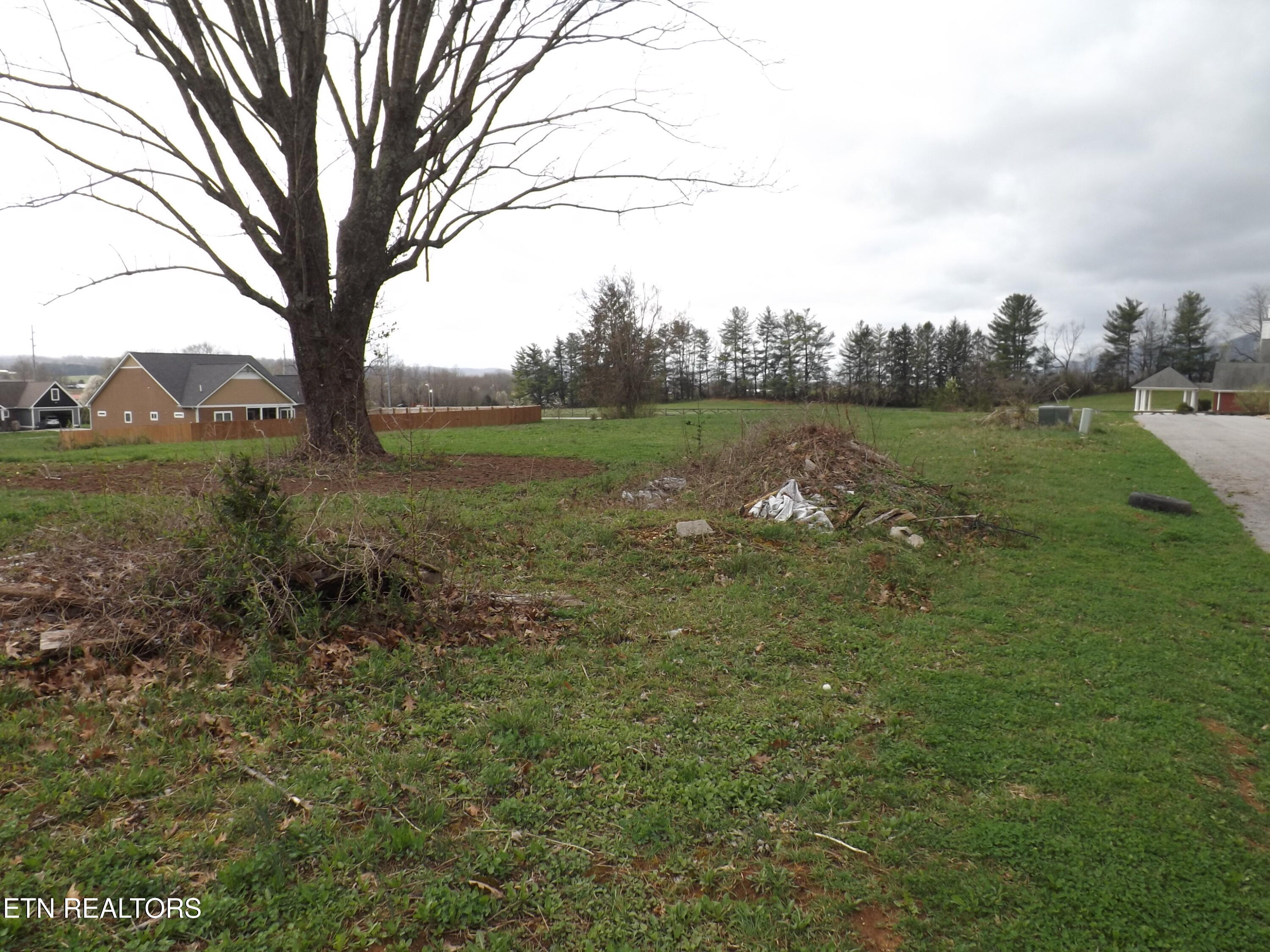 132 Auggie Belle Lane Speedwell TN 37870