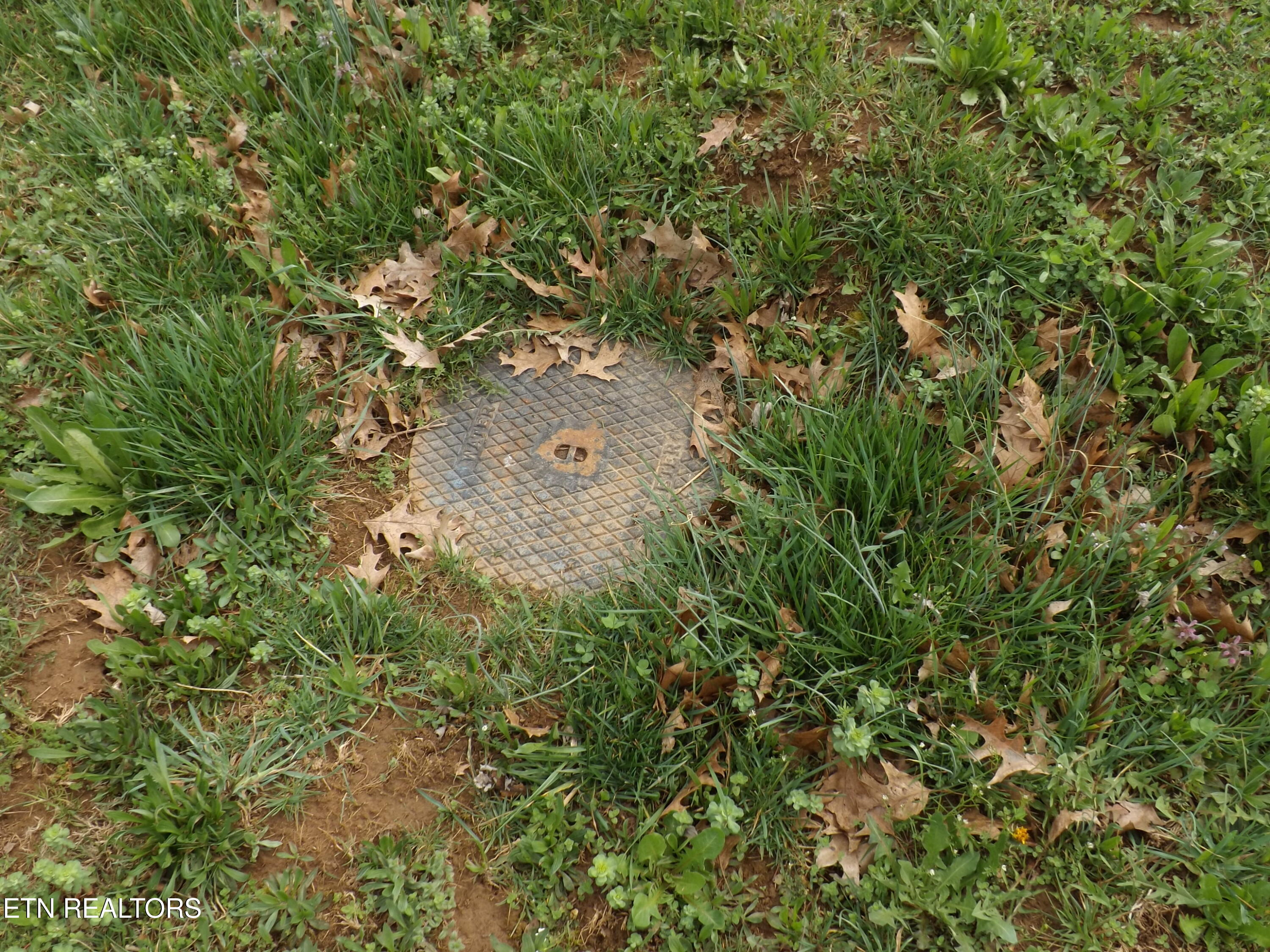 132 Auggie Belle Lane Speedwell TN 37870