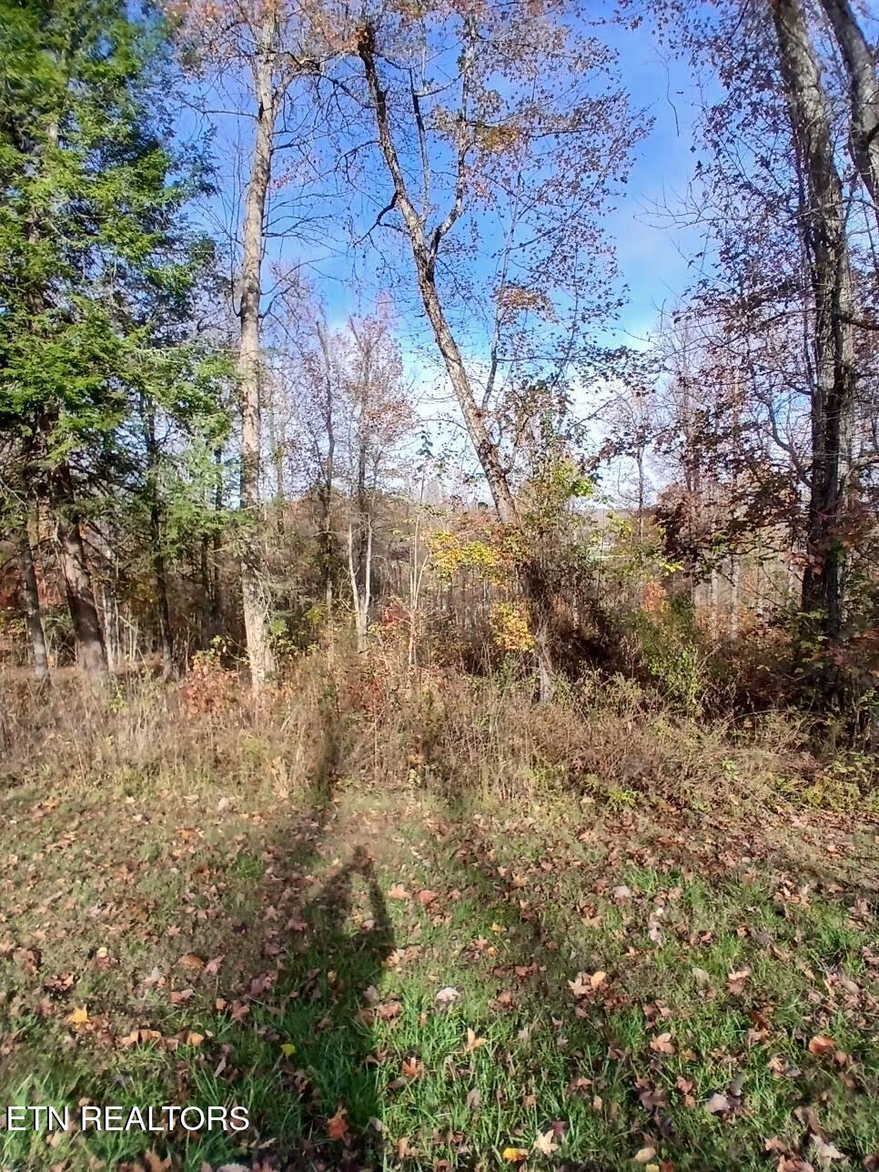 369 Walking Horse Trail Rockwood TN 37854