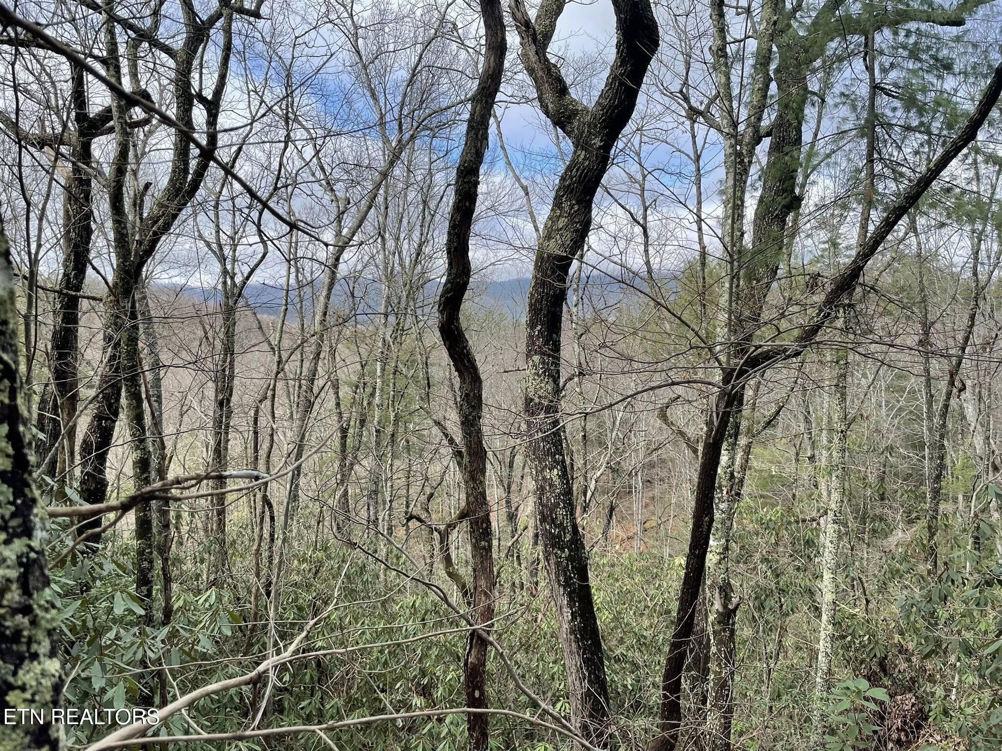 0 Walnut Flats Road Walland TN 37886