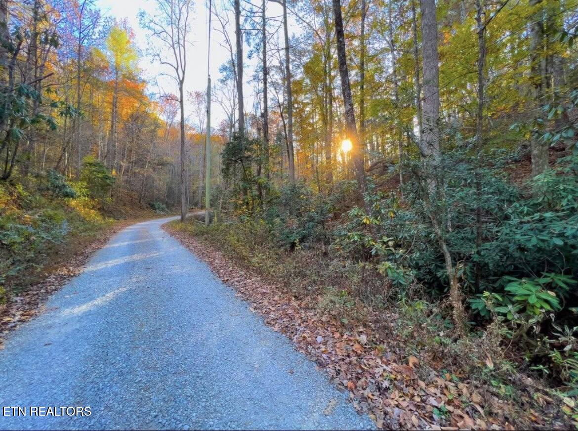 0 Walnut Flats Road Walland TN 37886