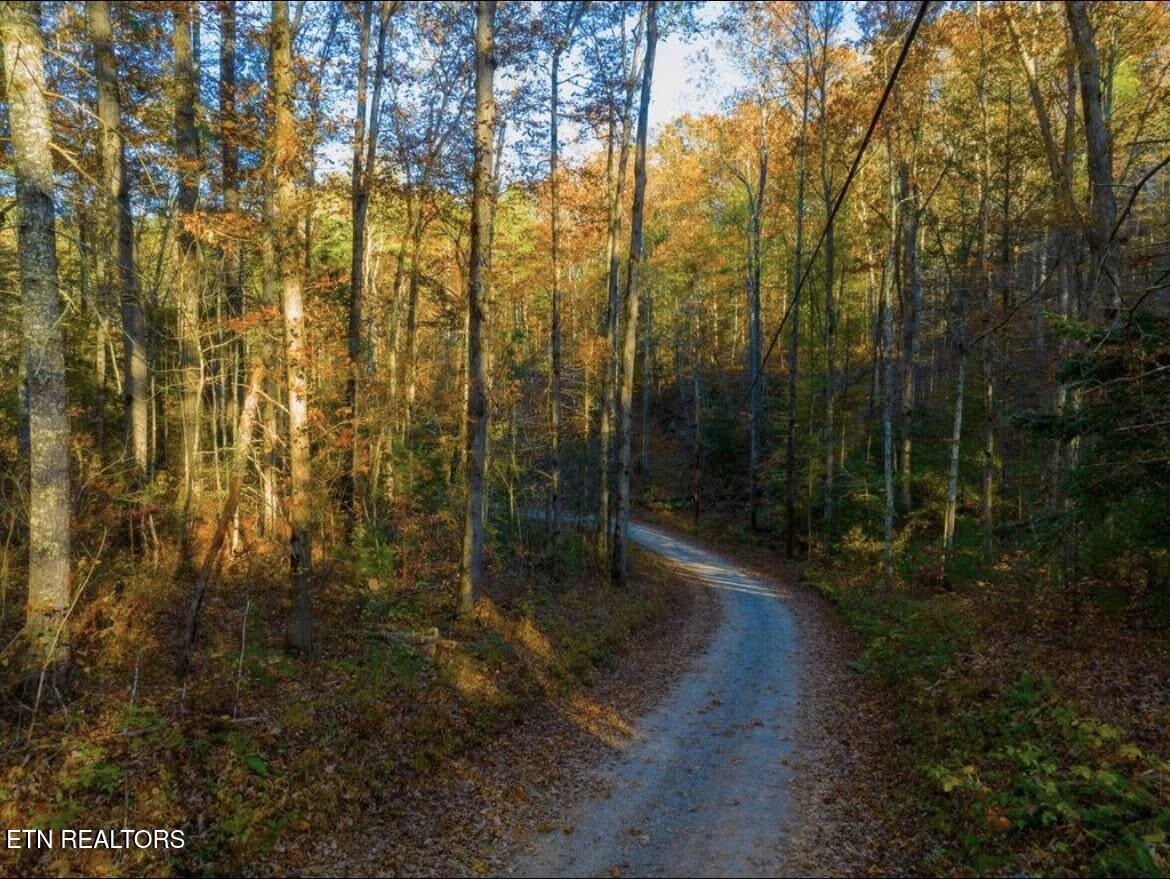 0 Walnut Flats Road Walland TN 37886
