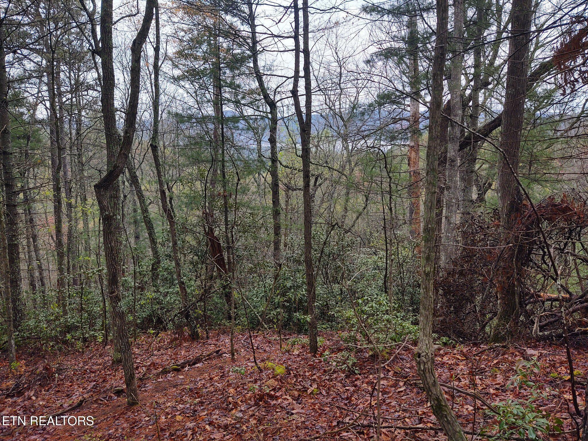 0 Walnut Flats Road Walland TN 37886